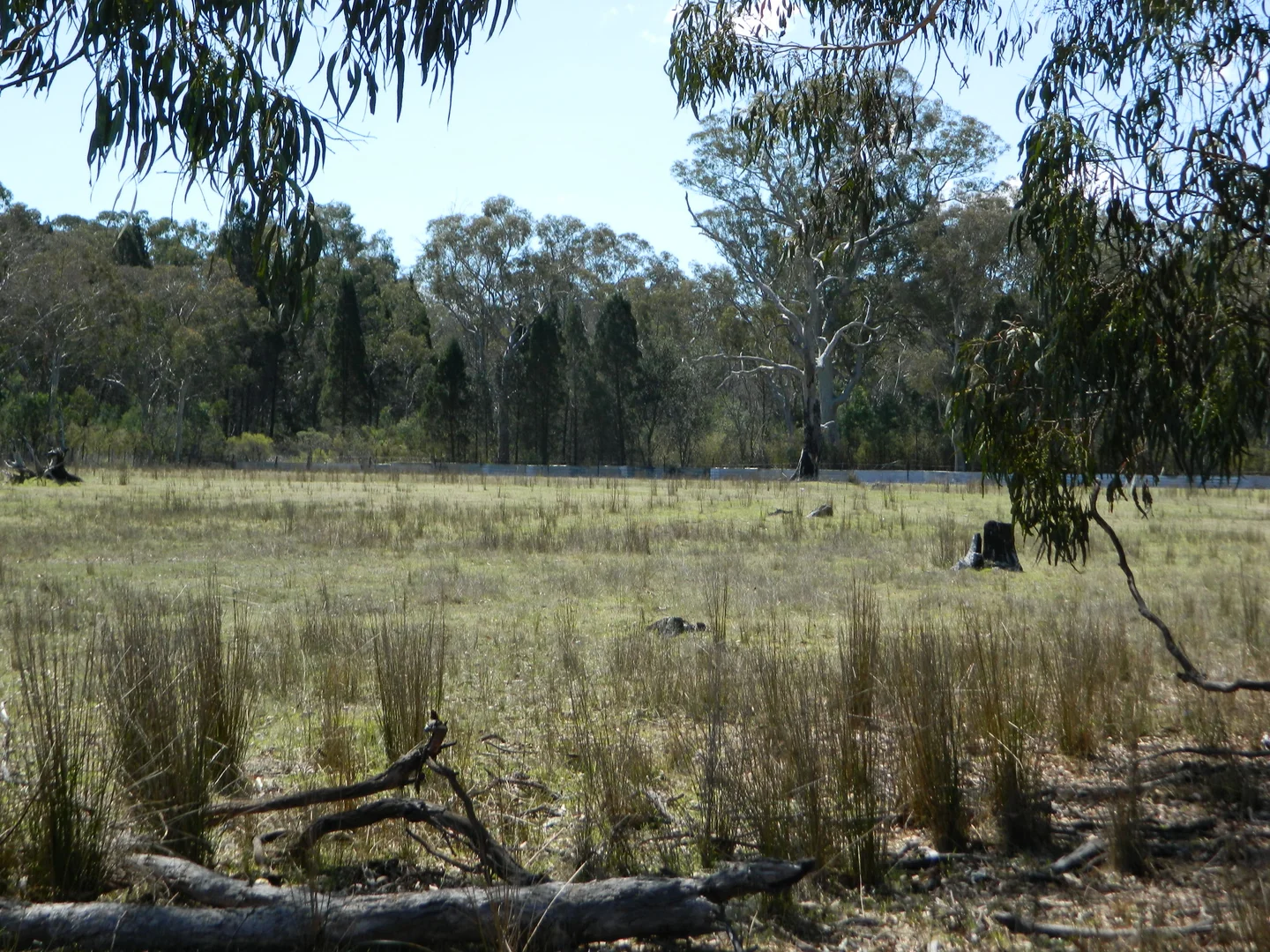 Additional image 22 of 485 Reedy Creek Road, Rylstone NSW 2849