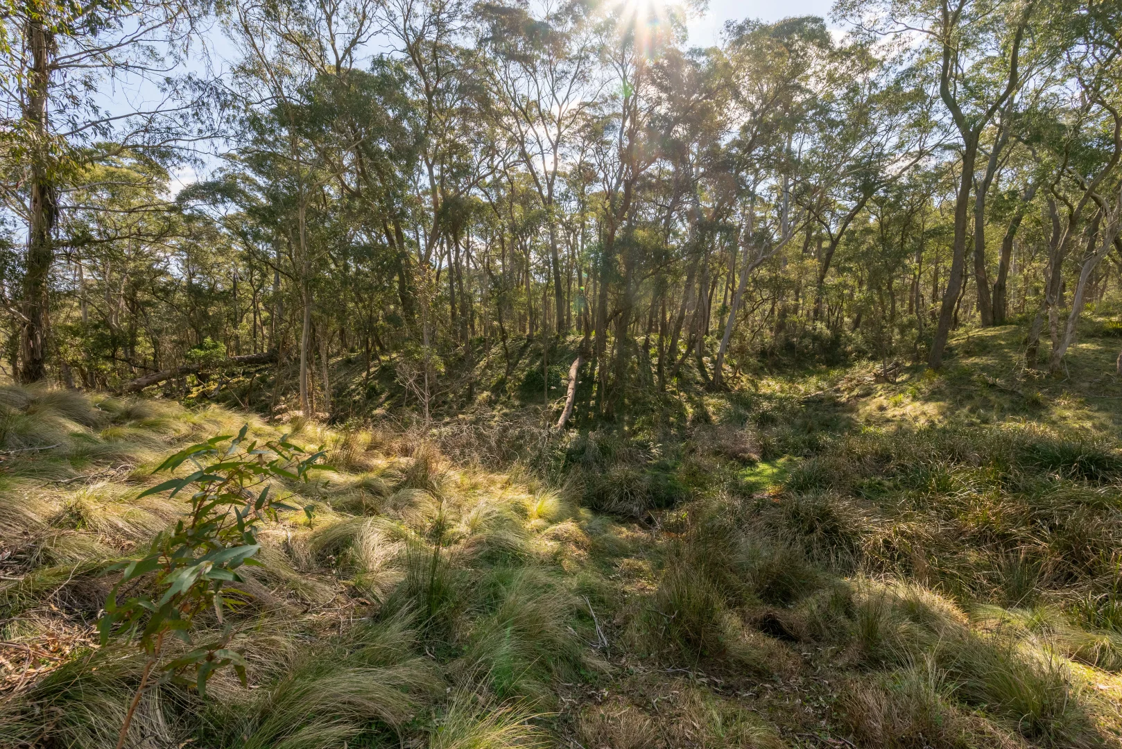 Additional image 21 of 153 Blue Bush Road, Wyanbene NSW 2622