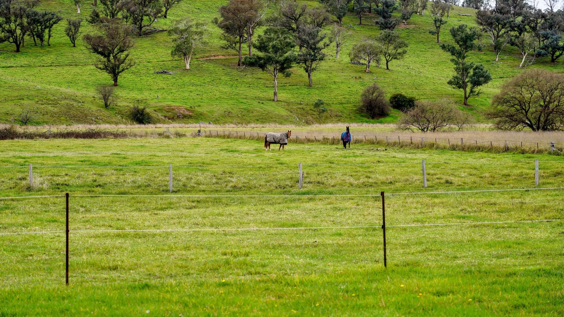 Additional image 22 of 105S Derby Street, Walcha NSW 2354