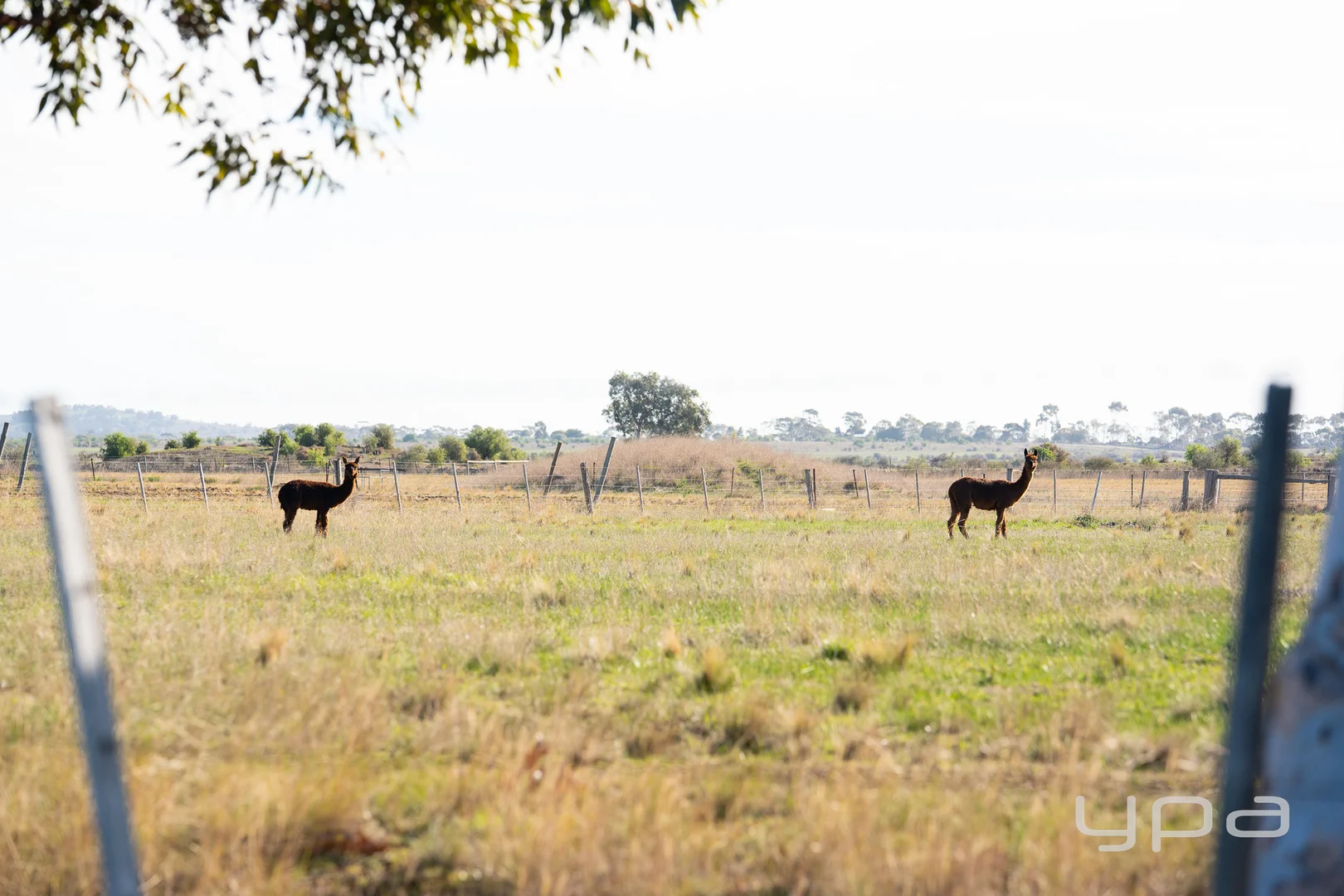 Additional image 4 of 90 William Road, Little River VIC 3211