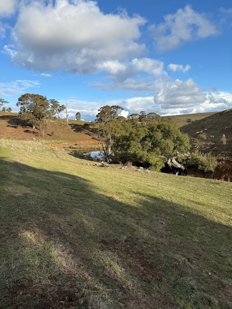 Additional image 6 of 499 Swans Rd, Darley VIC 3340