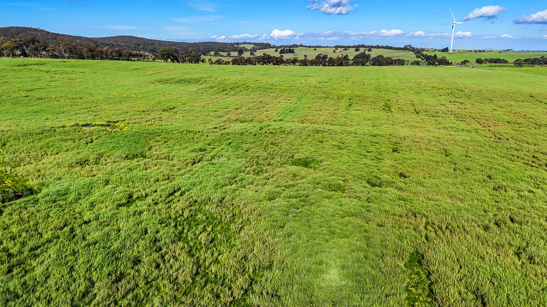 Additional image 5 of 60 Ellis Road, Beaufort VIC 3373