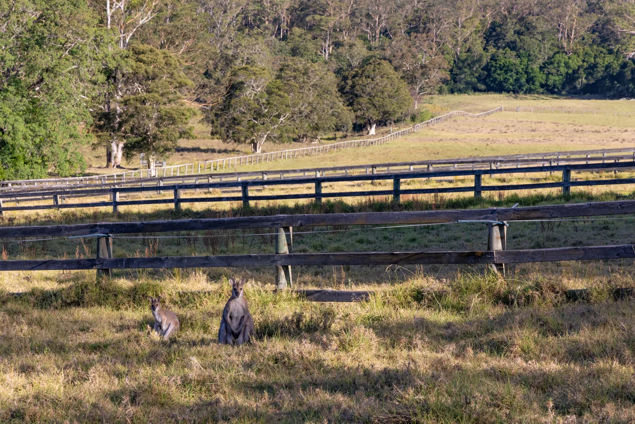 Additional image 25 of 56 Kemp Lane, Martinsville NSW 2265