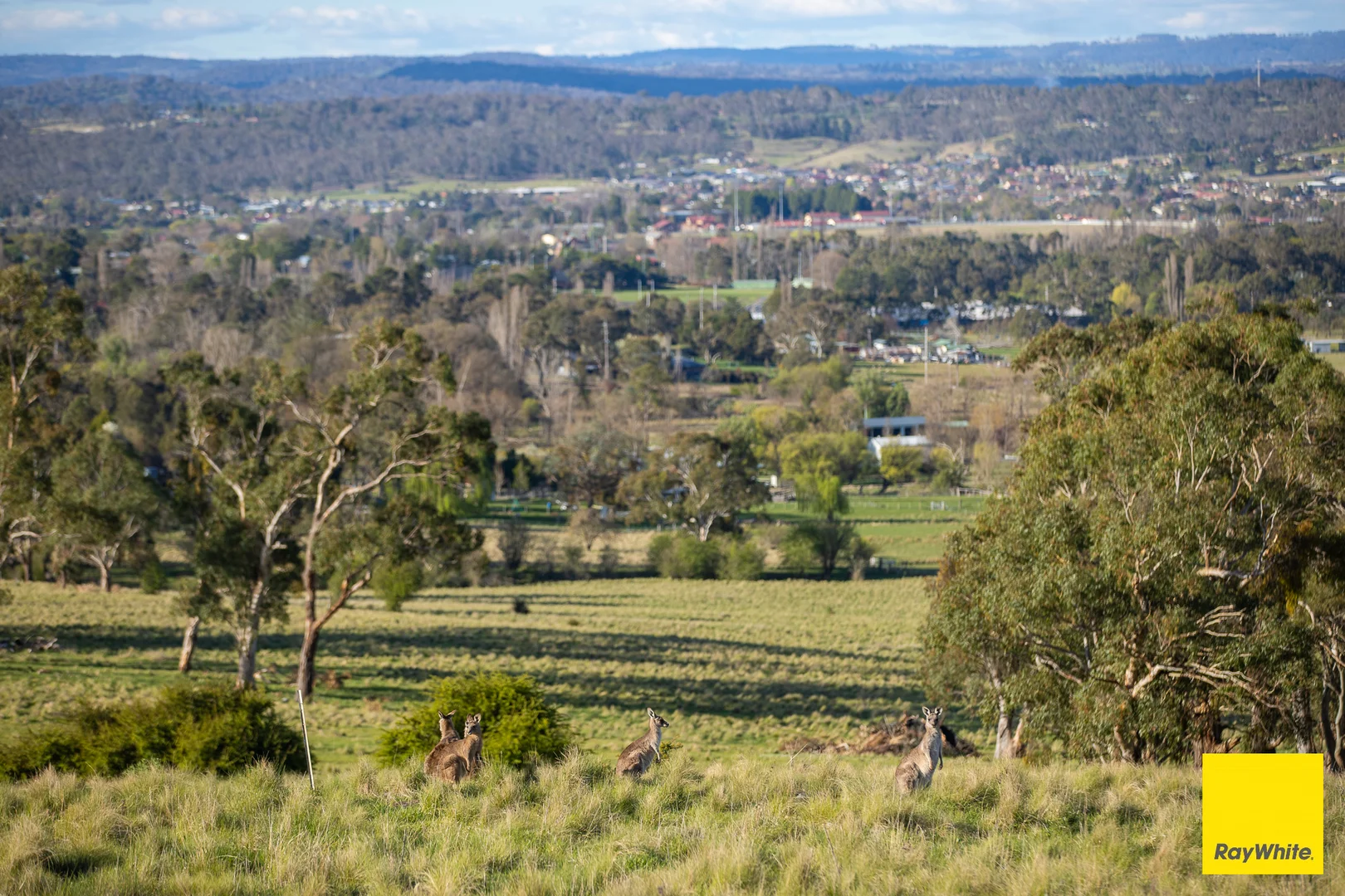 Additional image 13 of 15 Karina Close, Armidale NSW 2350