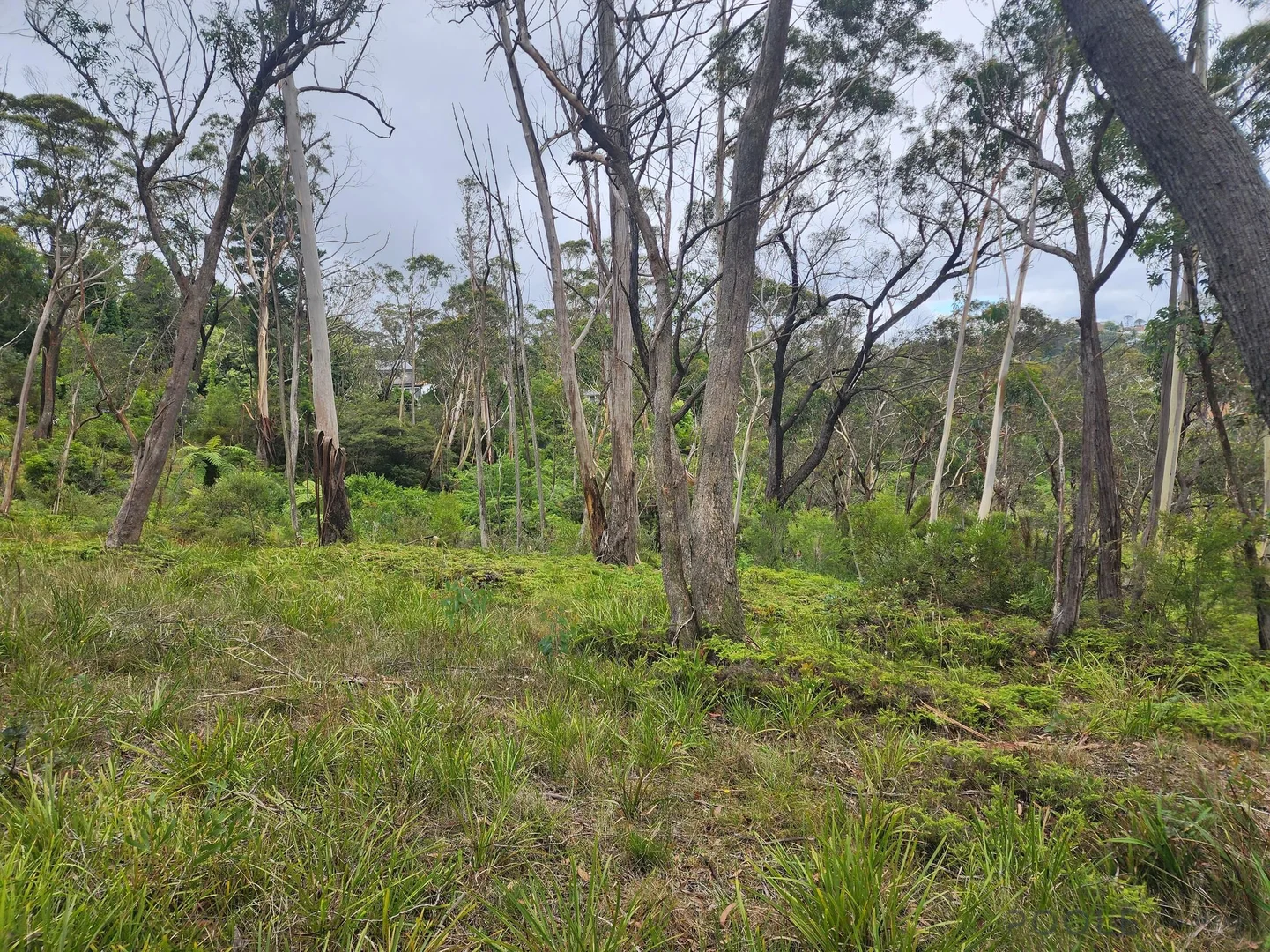 Additional image 7 of 17 Lomandra Place, Katoomba NSW 2780