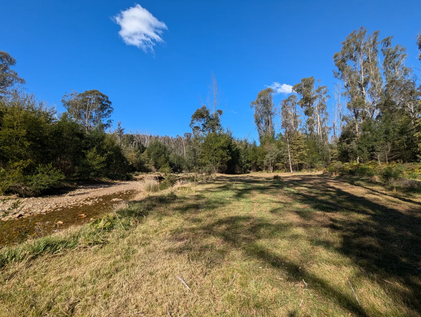 Additional image 33 of 115 Gulph Creek Road, Nerrigundah NSW 2545