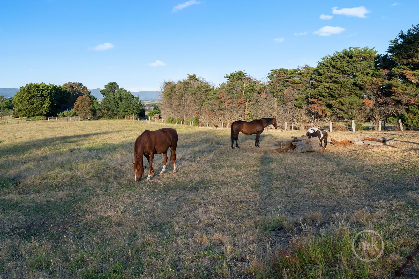 Additional image 7 of 110 Edward Henty Avenue, Doreen VIC 3754