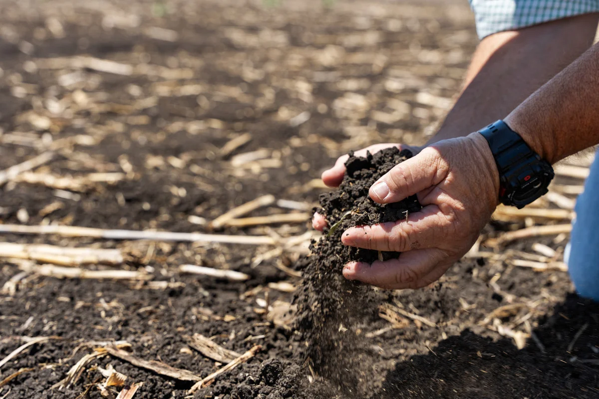 Additional image 21 of 2991 Toowoomba Karara Road, Felton QLD 4358