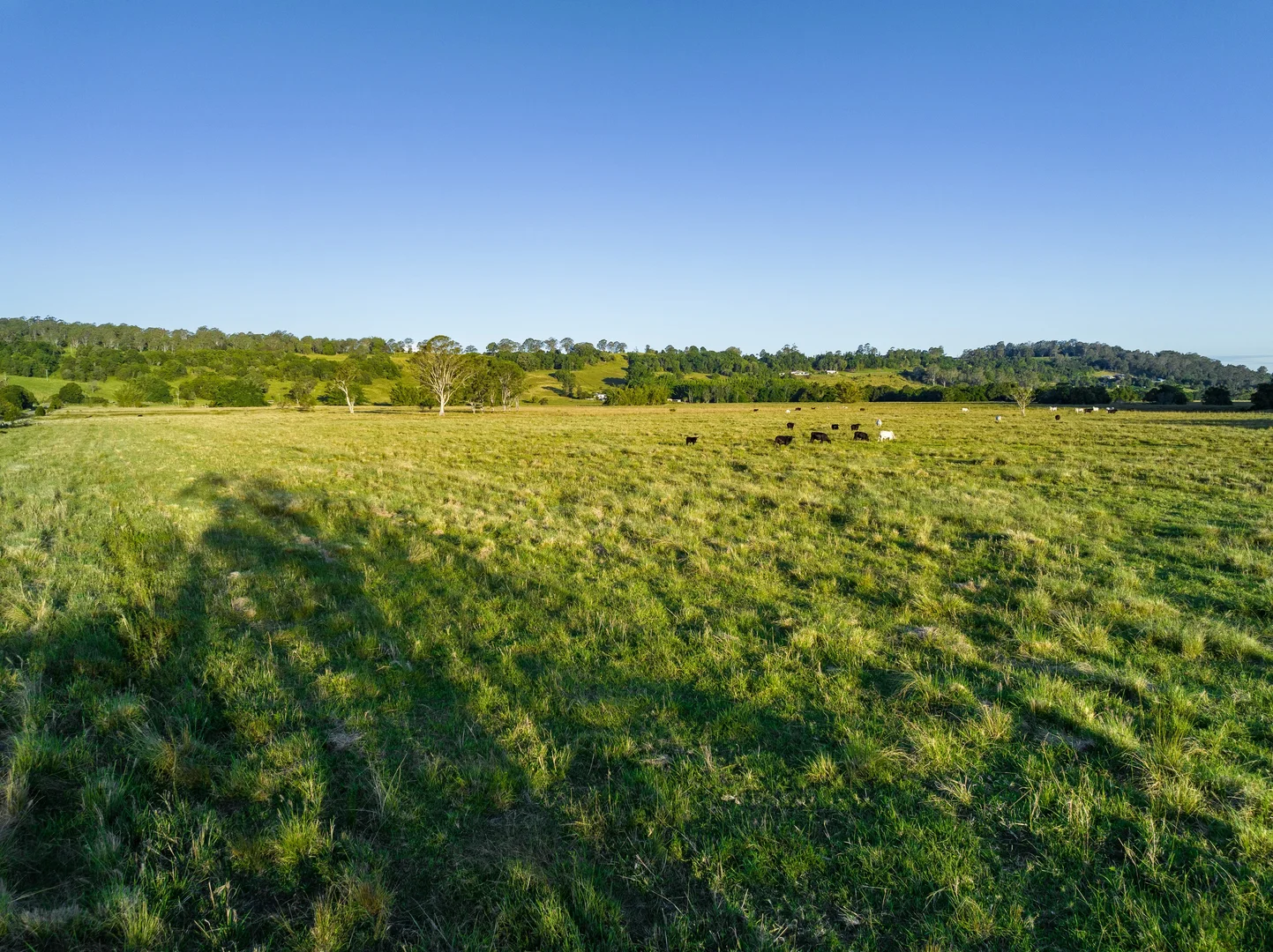 Additional image 6 of 2 Webber Road, Tregeagle NSW 2480
