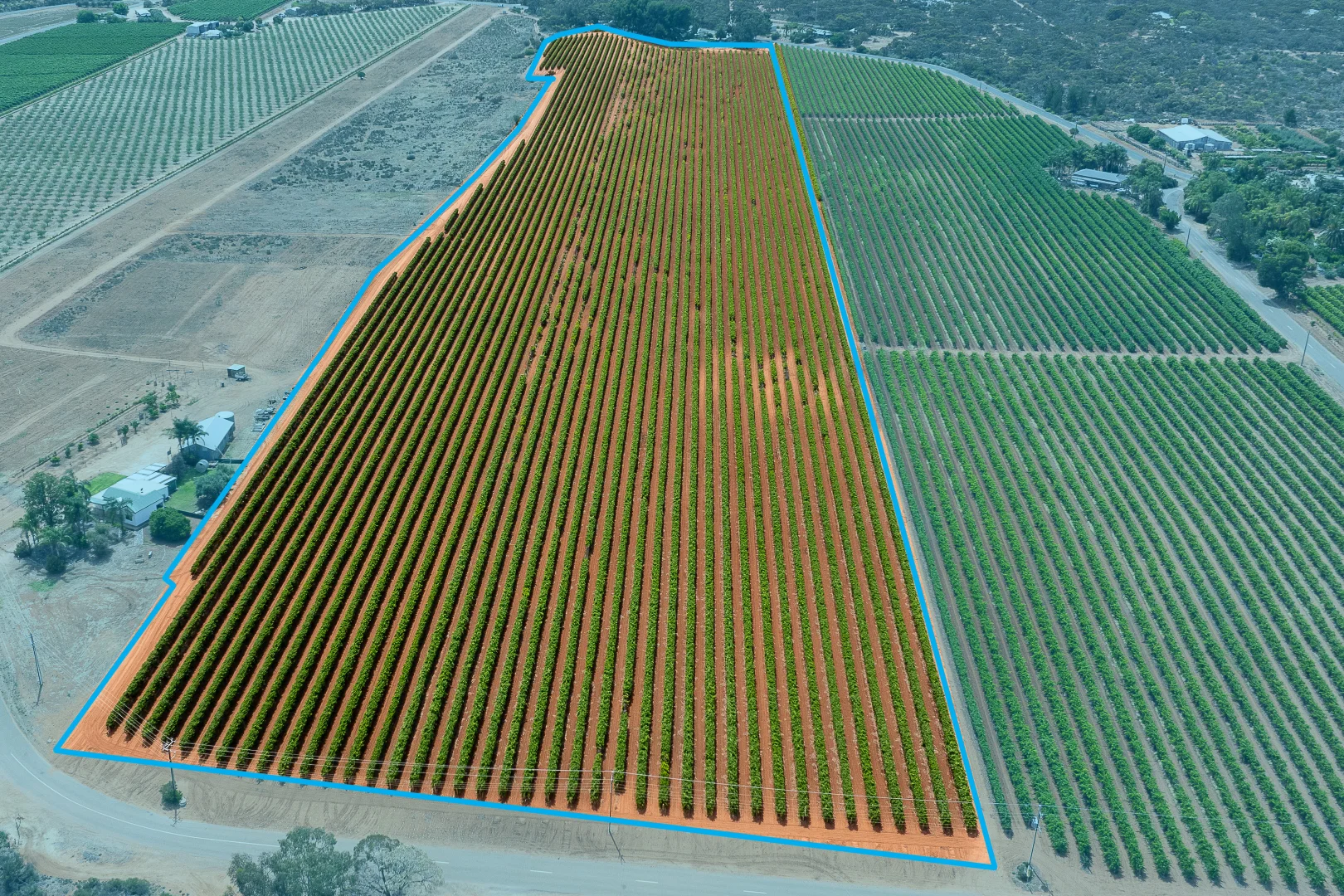 Additional image 5 of Lot 11 Battams Road, Glossop SA 5344