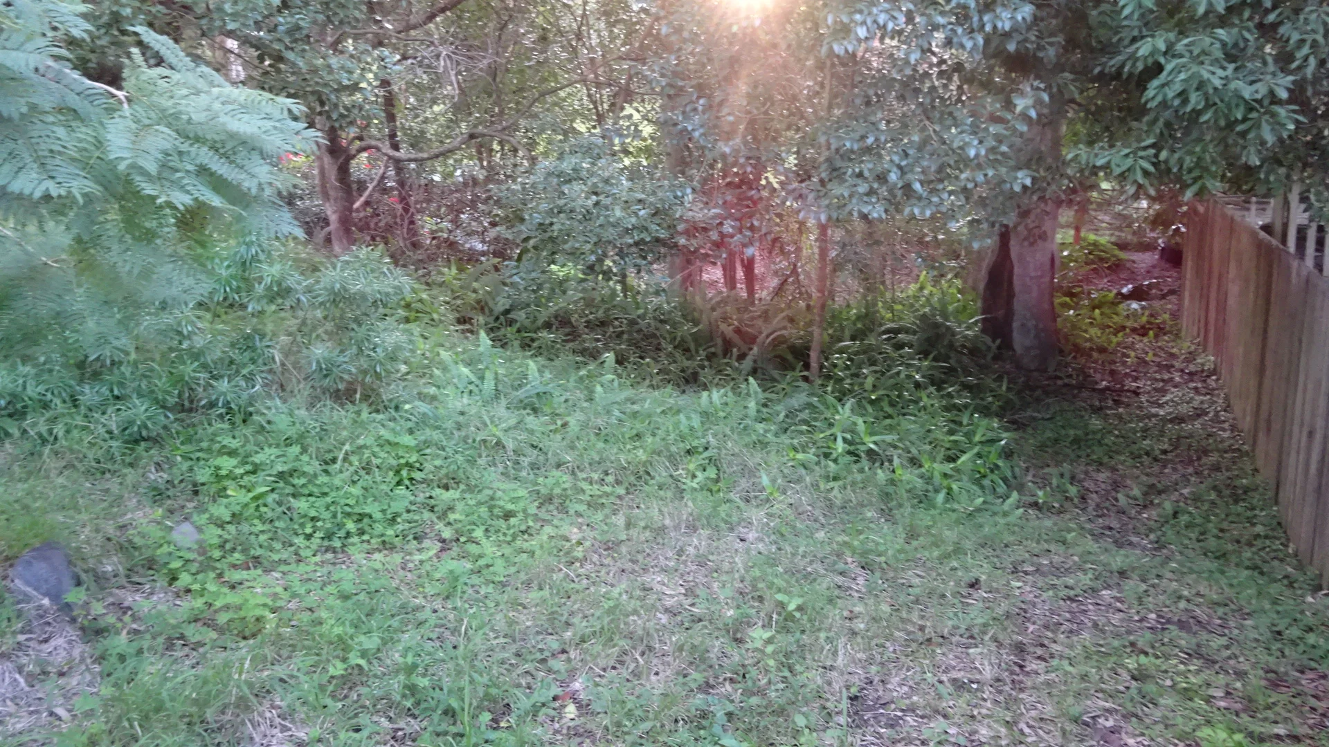 Additional image 5 of 7 Amelia Street, Carey Bay NSW 2283