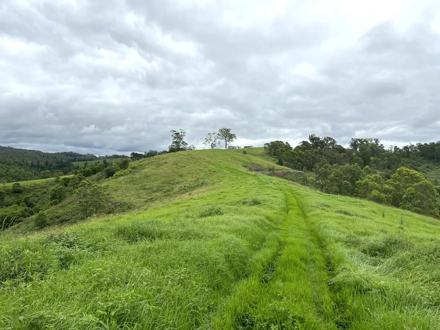 Additional image 10 of 59 Wyndham Road, Wyneden NSW 2474