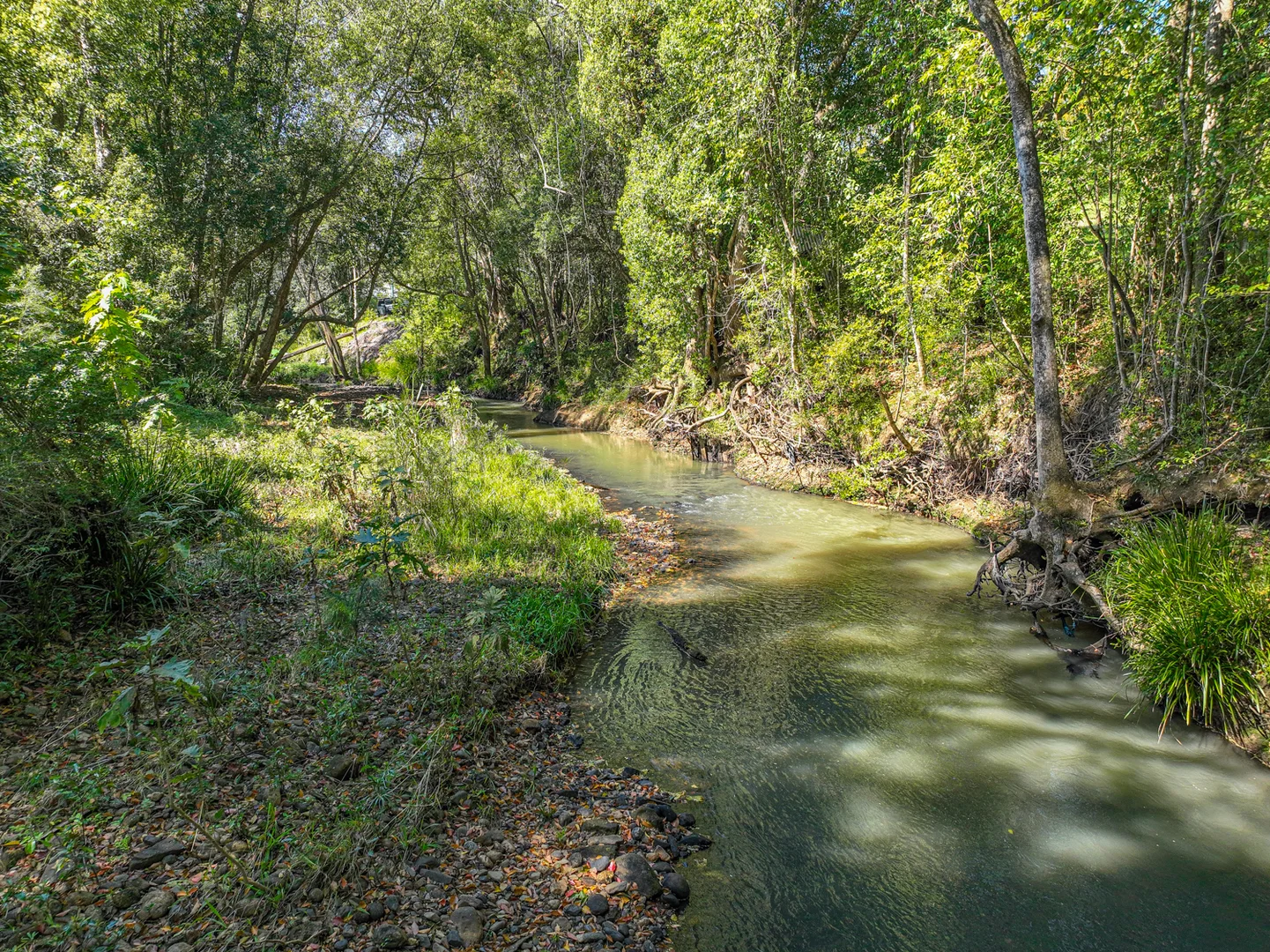 Additional image 26 of 110 Cullen Street, Nimbin NSW 2480