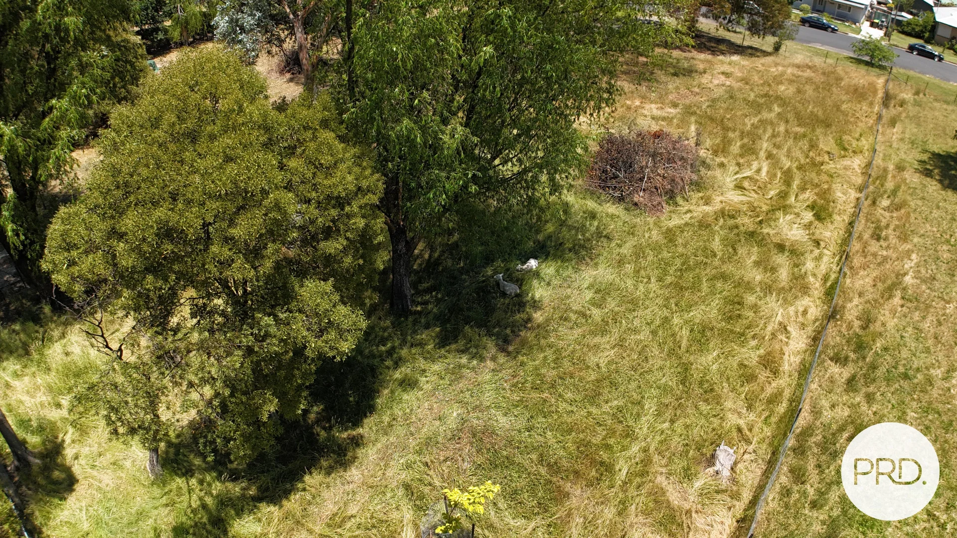Additional image 7 of Lot 1/120 Gilbert Street, Tumbarumba NSW 2653