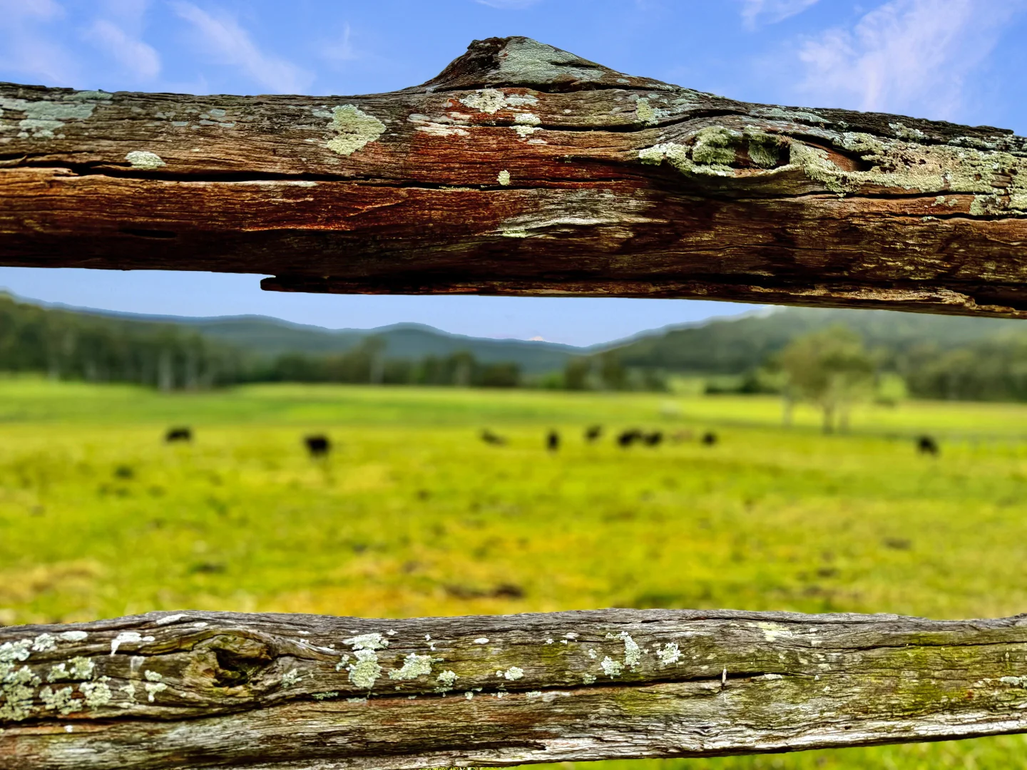 Additional image 35 of 3983 Great North Road, Laguna NSW 2325