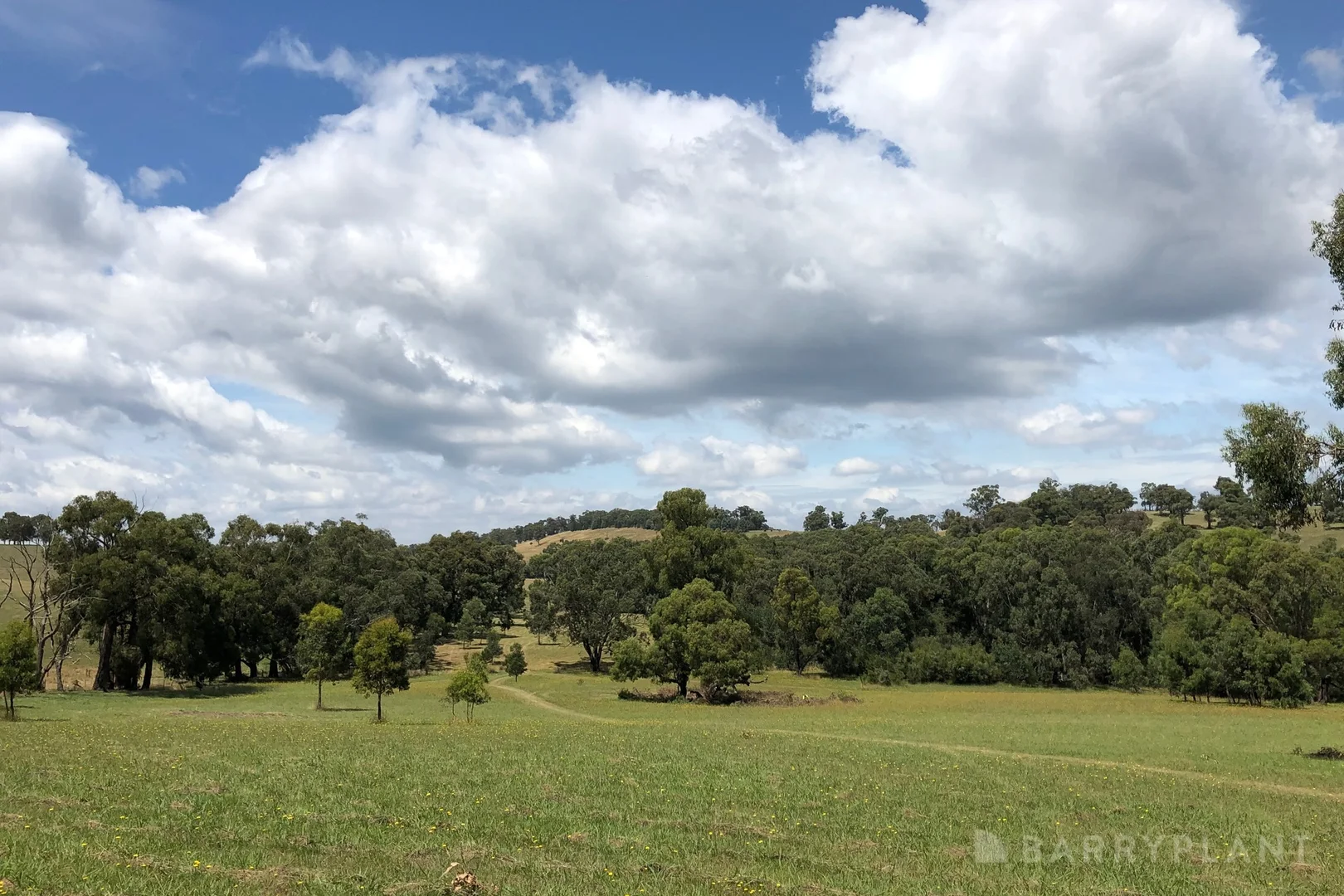 Additional image 5 of 450 Sheepstation Creek Road, Yellingbo VIC 3139