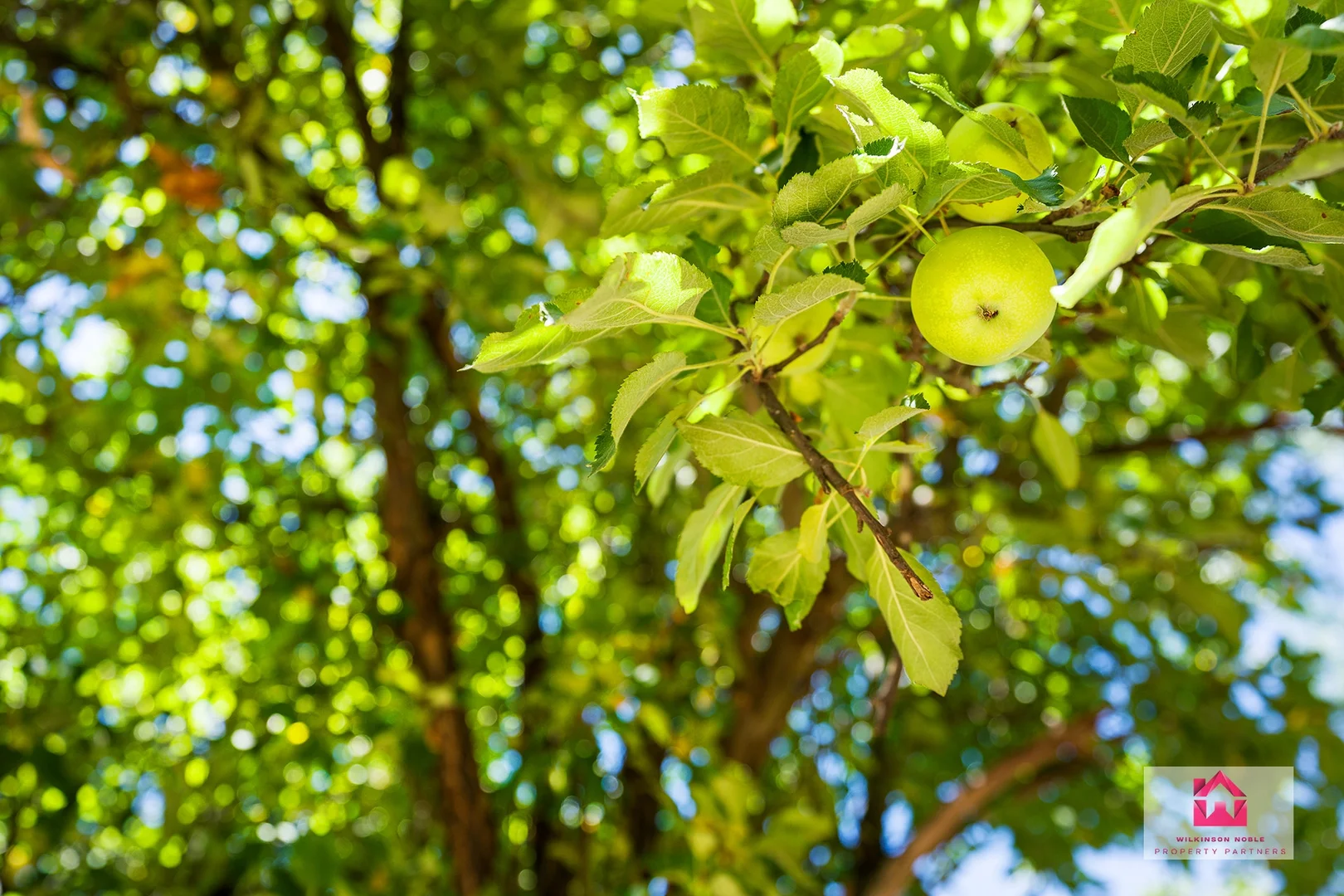 Additional image 8 of 4 Baird Street, Castlemaine VIC 3450