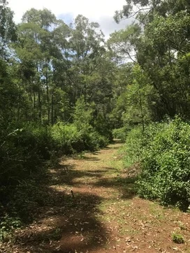 Additional image 7 of Ravensbourne QLD 4352