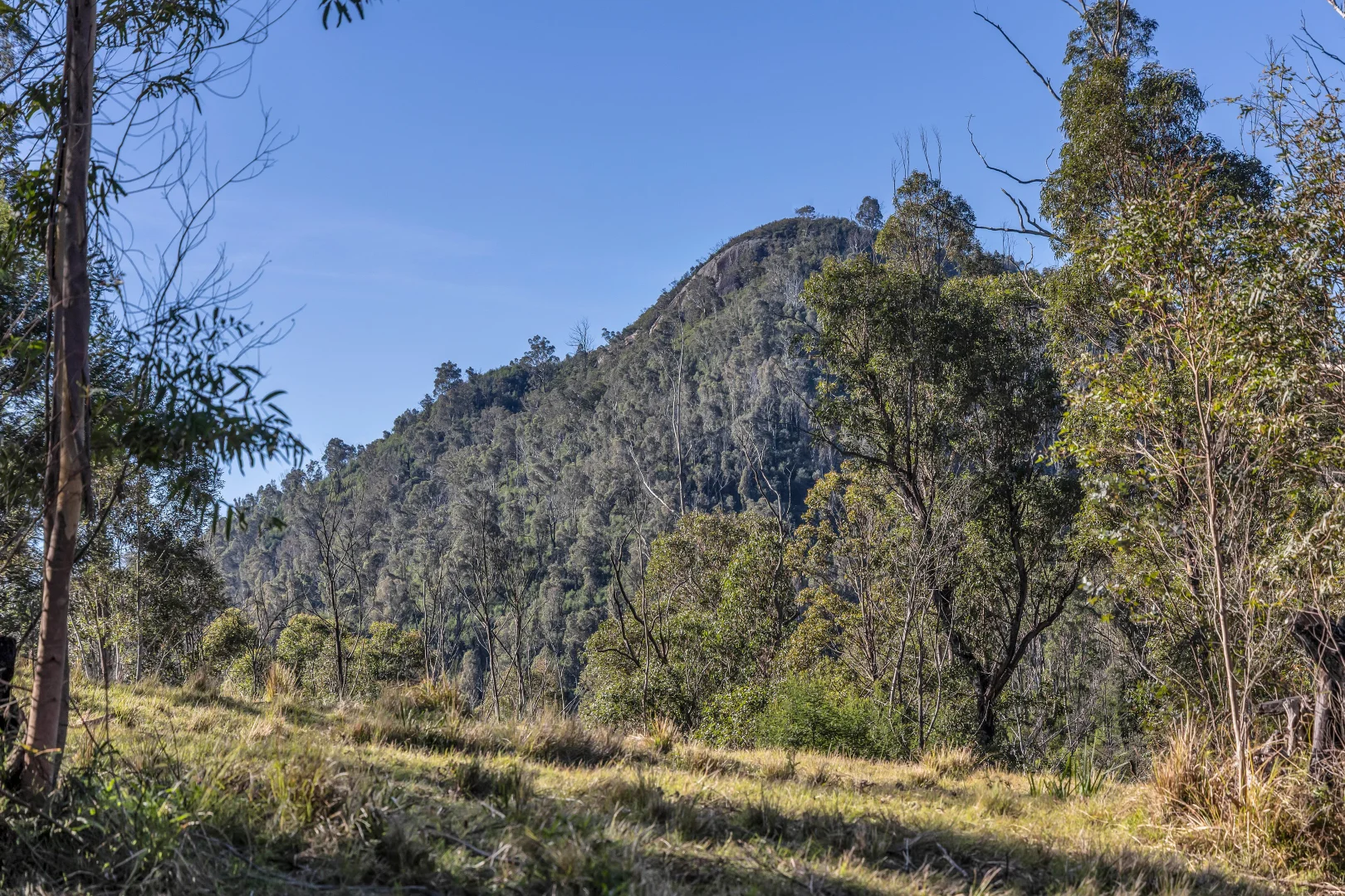 Additional image 8 of 15/752167&1/1089730 Illawambra Valley Road, Yowrie NSW 2550