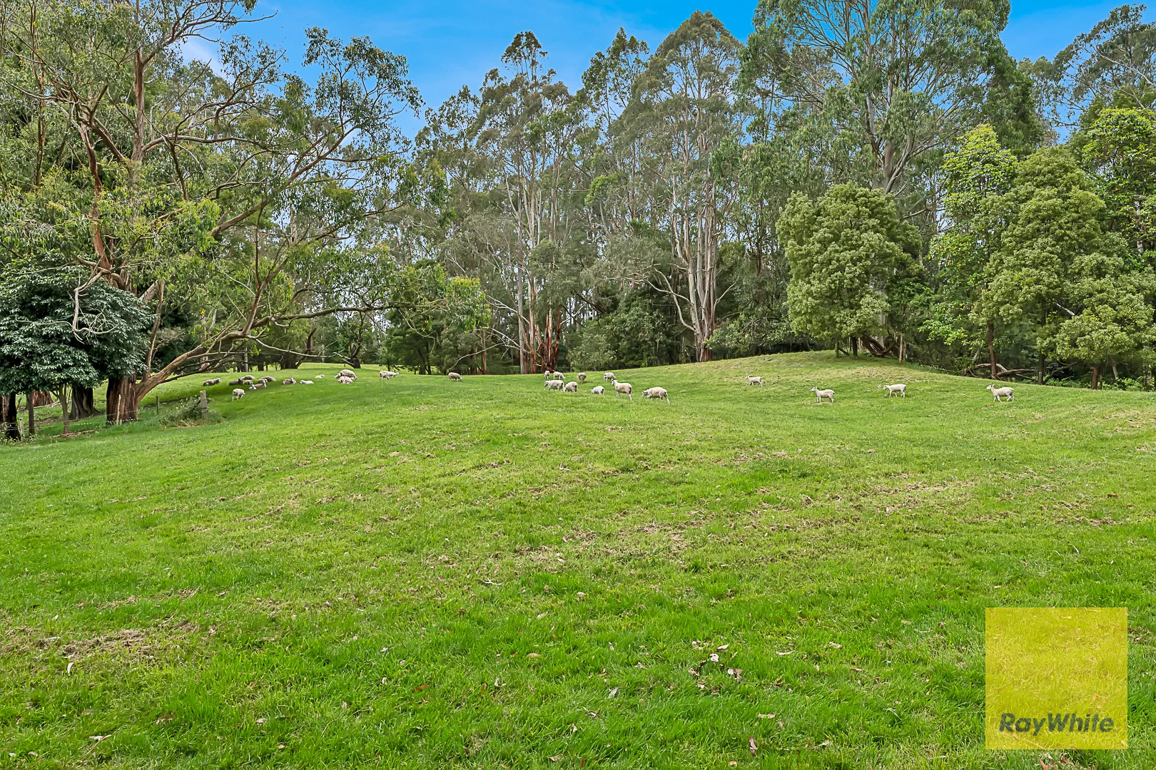 Additional image 26 of Bennison VIC 3960