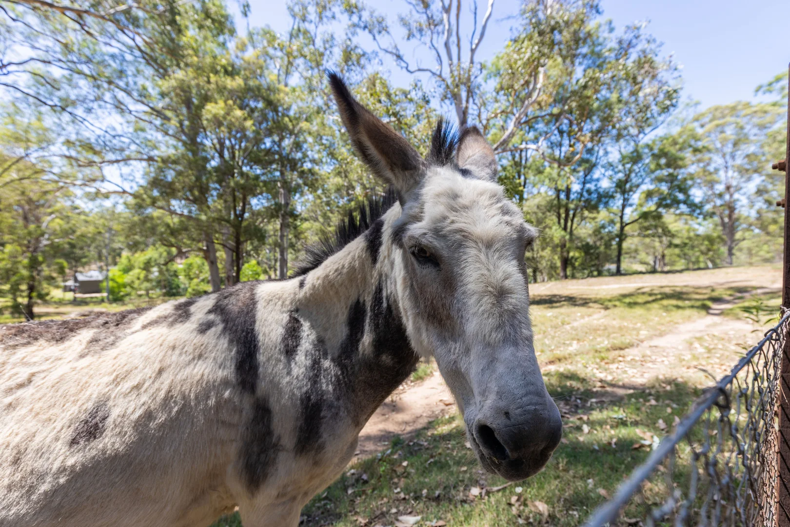 Additional image 23 of 420-424 Cranebrook Road, Cranebrook NSW 2749