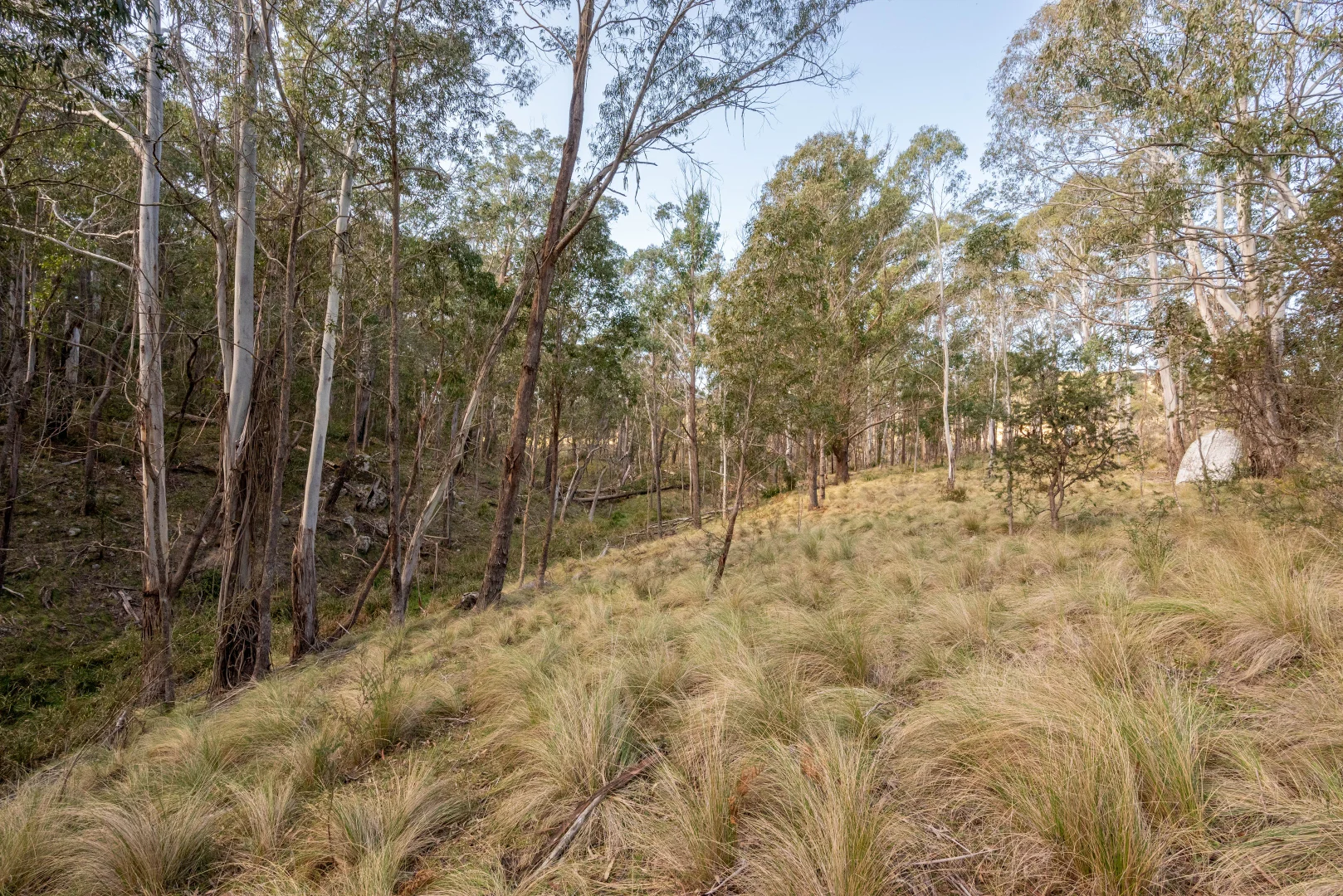 Additional image 17 of 153 Blue Bush Road, Wyanbene NSW 2622