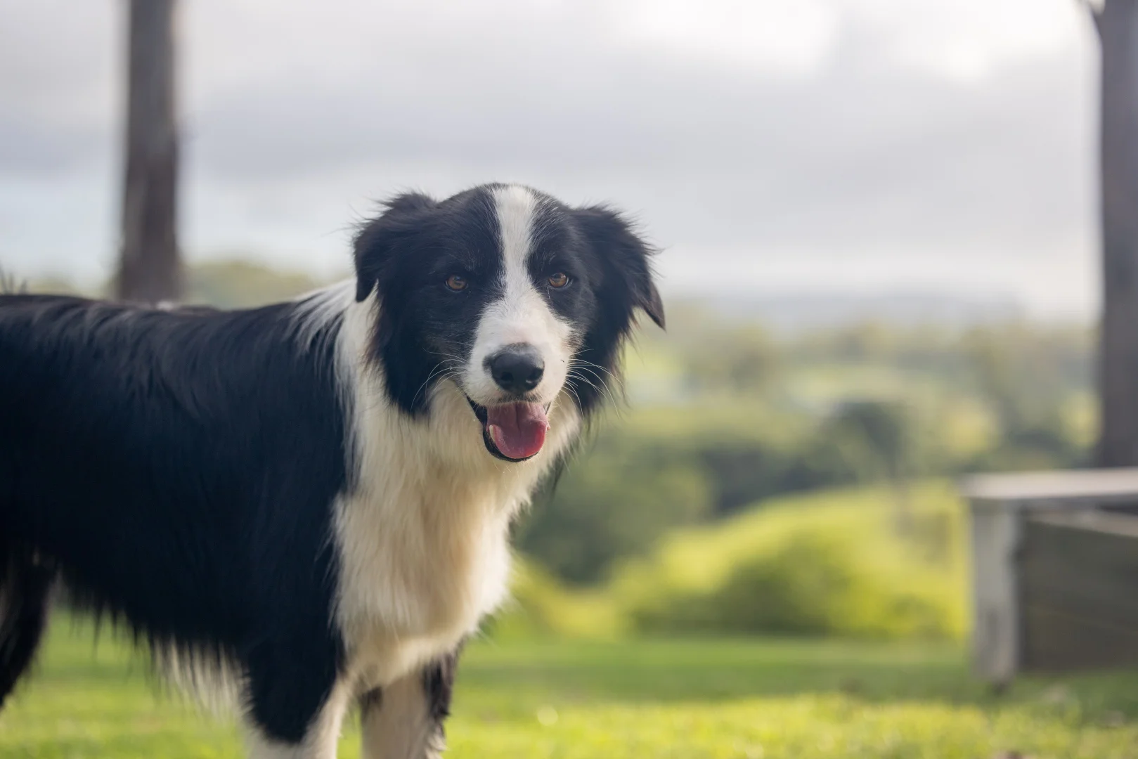 Additional image 30 of 60 Ironstone Creek Road, Tuchekoi QLD 4570