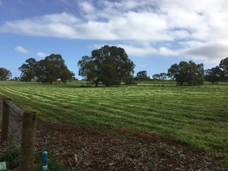 Additional image 10 of Lot 81 Cheriton Road, Gingin WA 6503