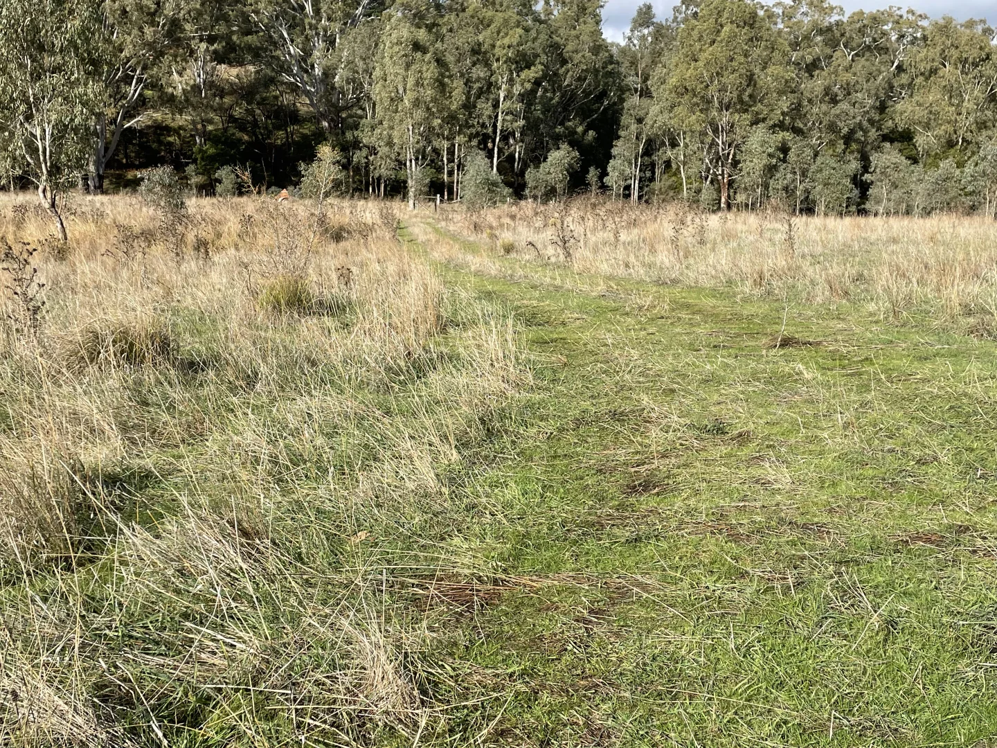 Additional image 5 of Dartmoor-Hamilton Road, Dartmoor VIC 3304