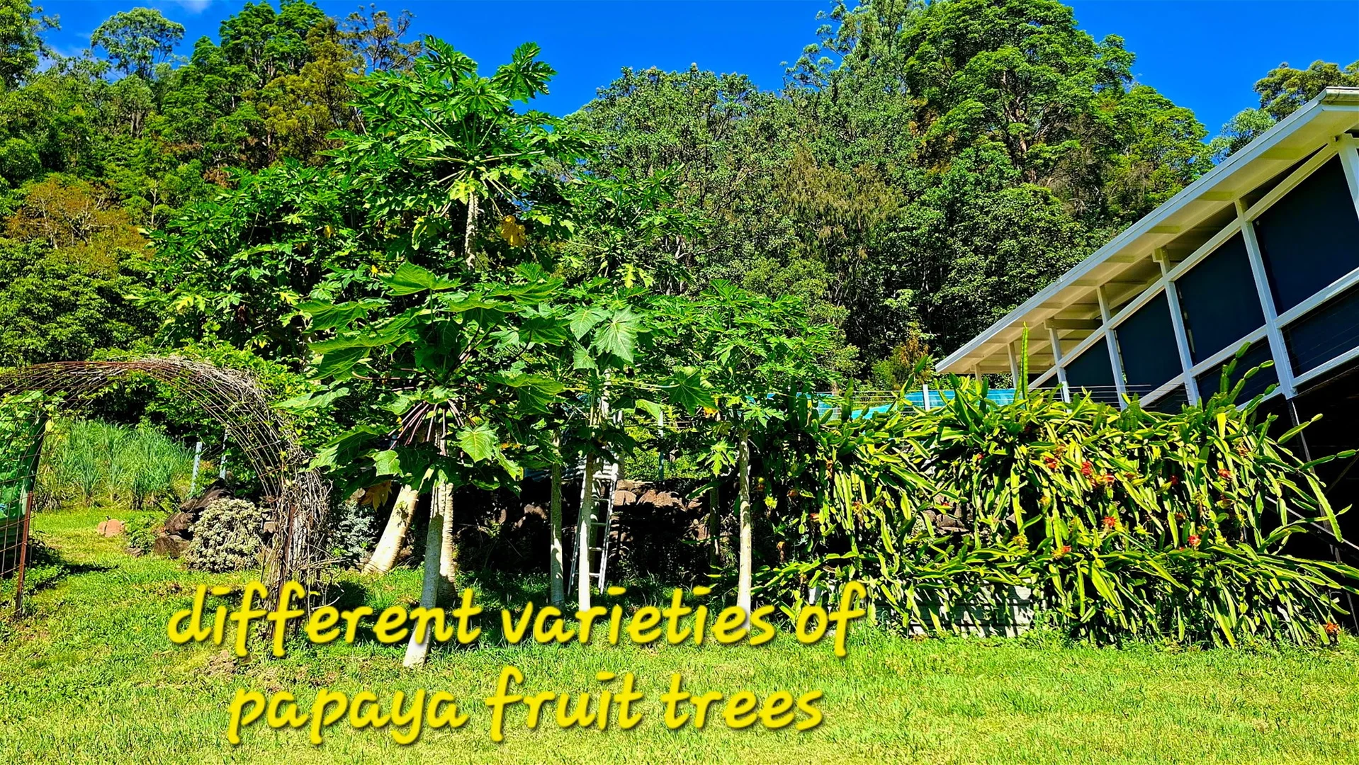 Additional image 22 of 32/265 Martin Road, Larnook NSW 2480