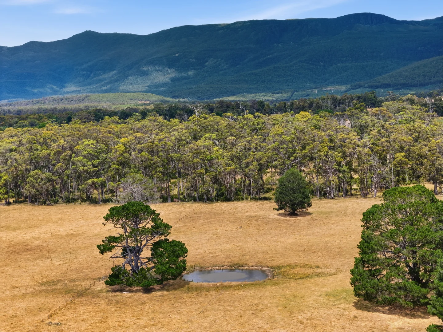 Additional image 30 of 496 Blackwood Creek Road (access via Hodgetts Road), Blackwood Creek TAS 7301