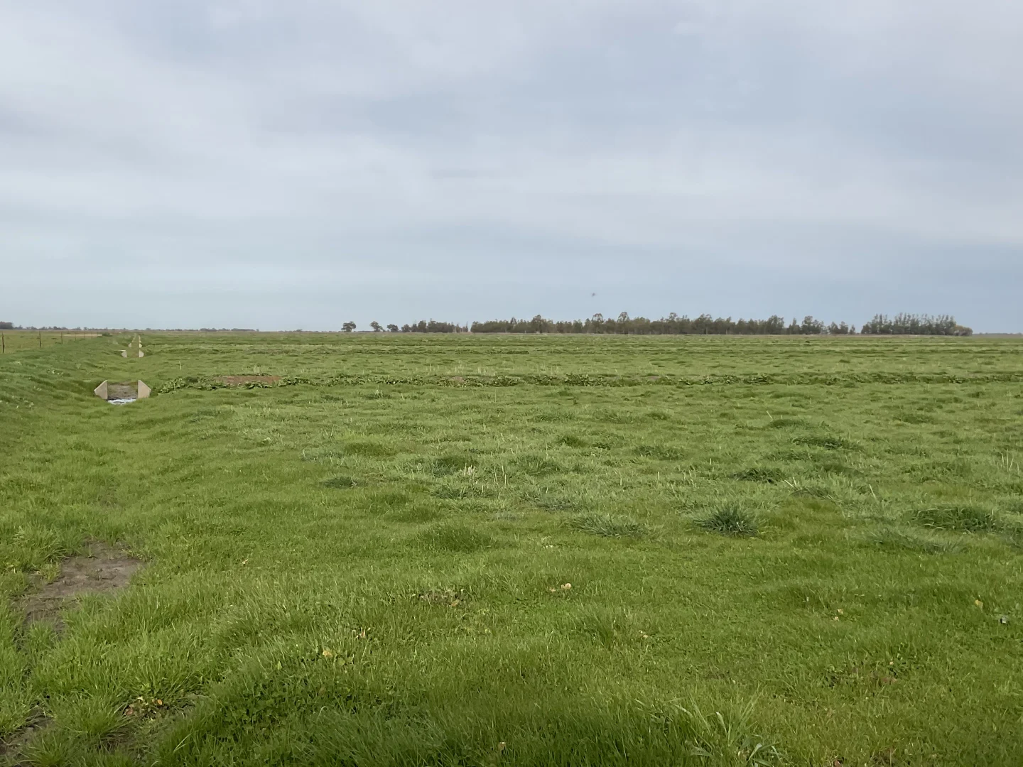 Additional image 3 of Part Farm 1428 Glenn Road, Murrami NSW 2705