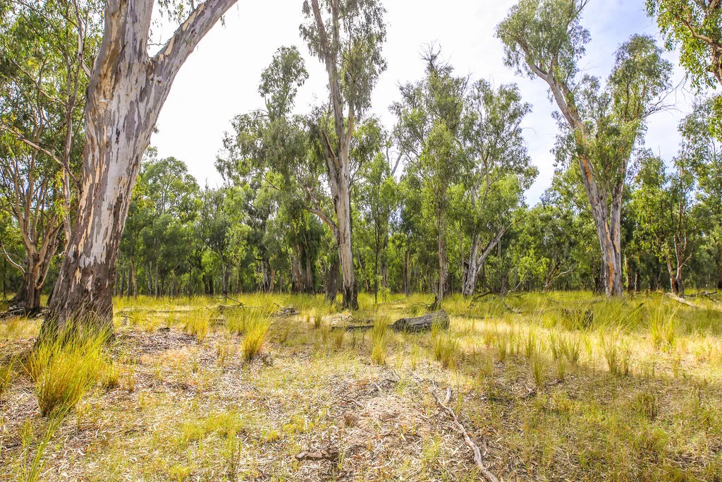 Additional image 7 of Lot 19, 20, 23 & 24 - 650 Yarraman Road, Moama NSW 2731