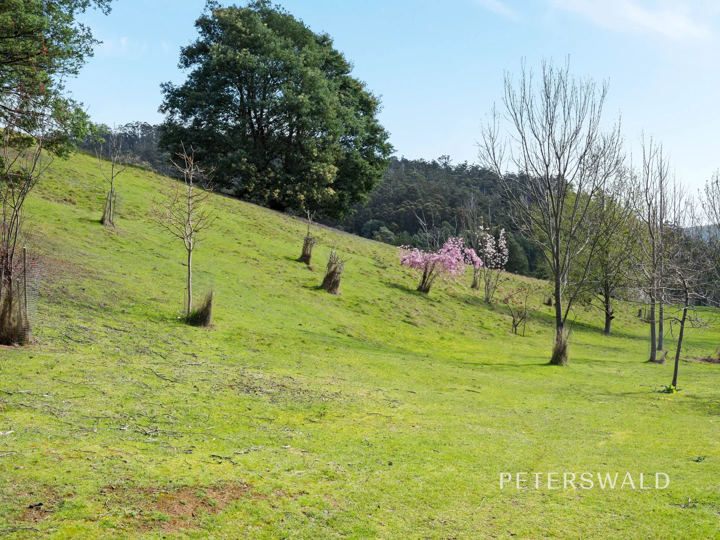 Additional image 26 of 325 Bakers Creek Road, Lucaston TAS 7109