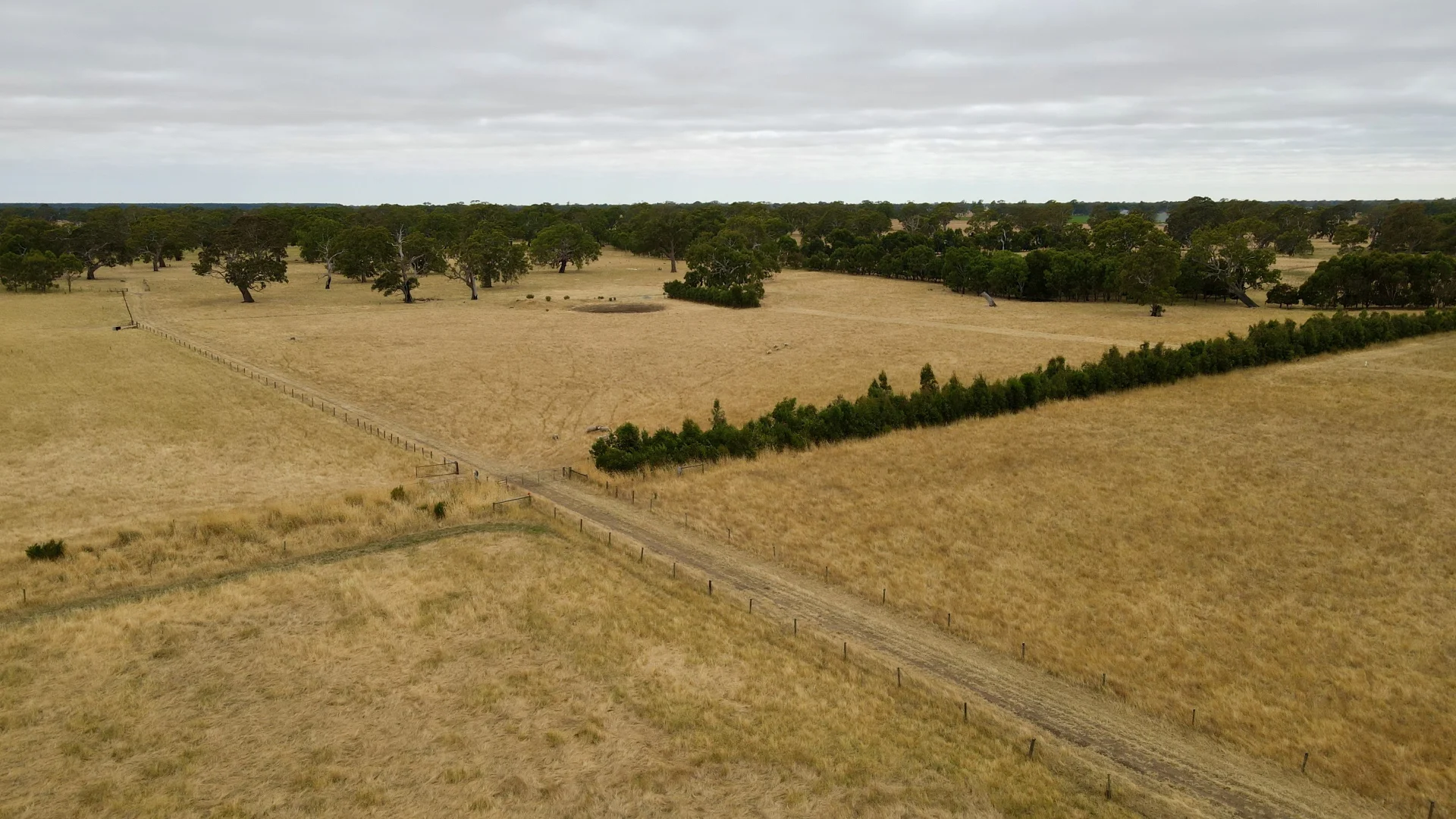 Additional image 5 of Lot 899 Mount McIntyre Road, Kalangadoo SA 5278