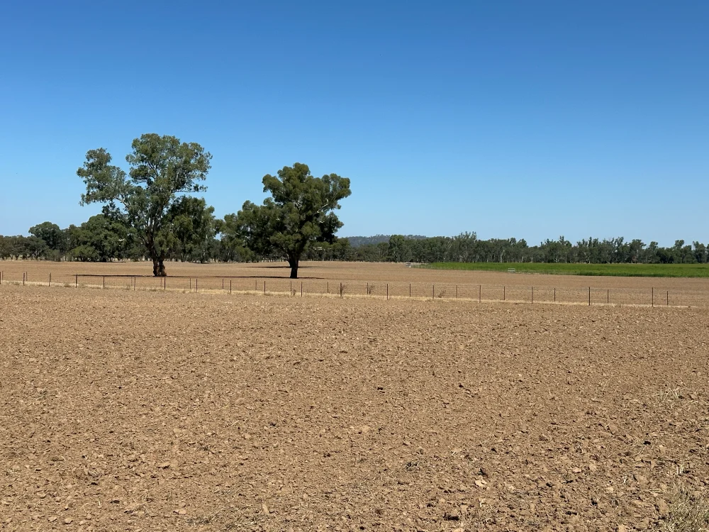 Additional image 2 of 137 Fletchers Lane, Wagga Wagga NSW 2650