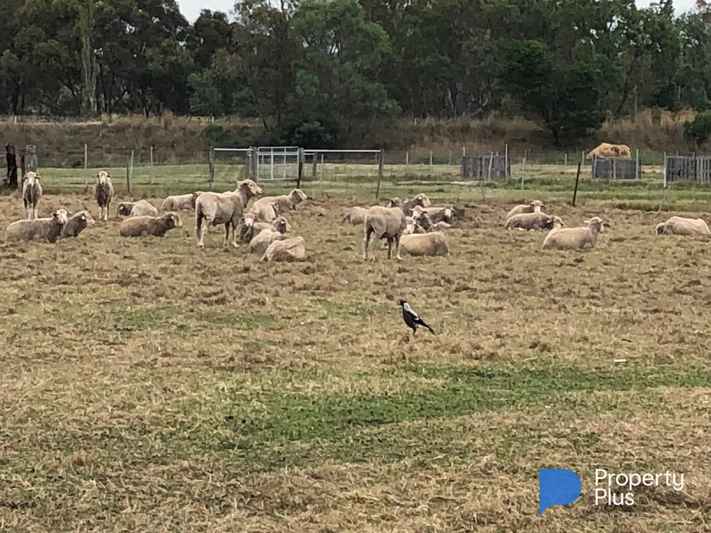 Additional image 13 of 5 Whittakers Lane, Talbot VIC 3371