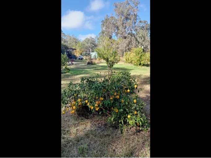 Additional image 6 of Lot 86 Tralee Road, Pratten QLD 4370