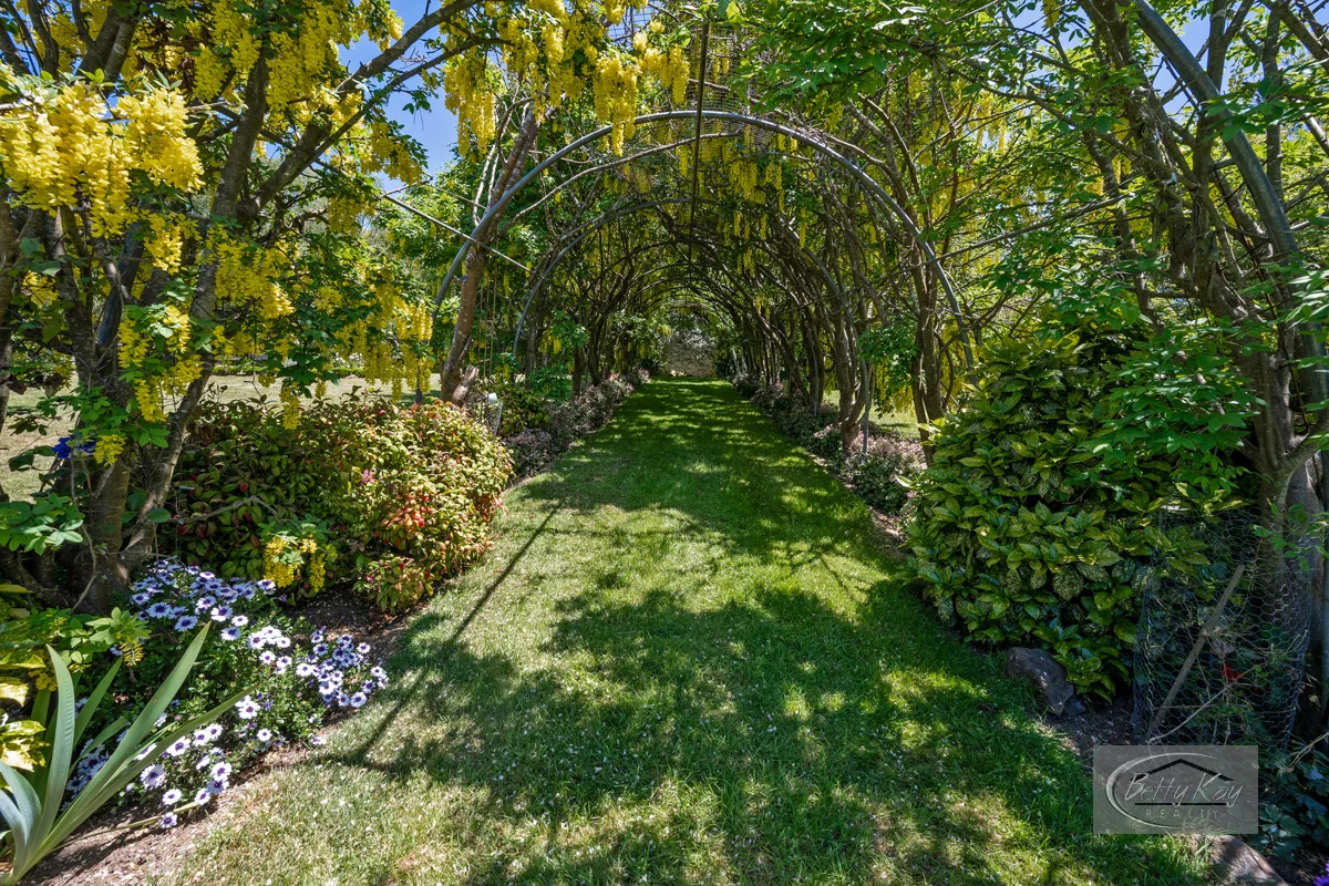 Additional image 4 of 99 King Street, Smithton TAS 7330