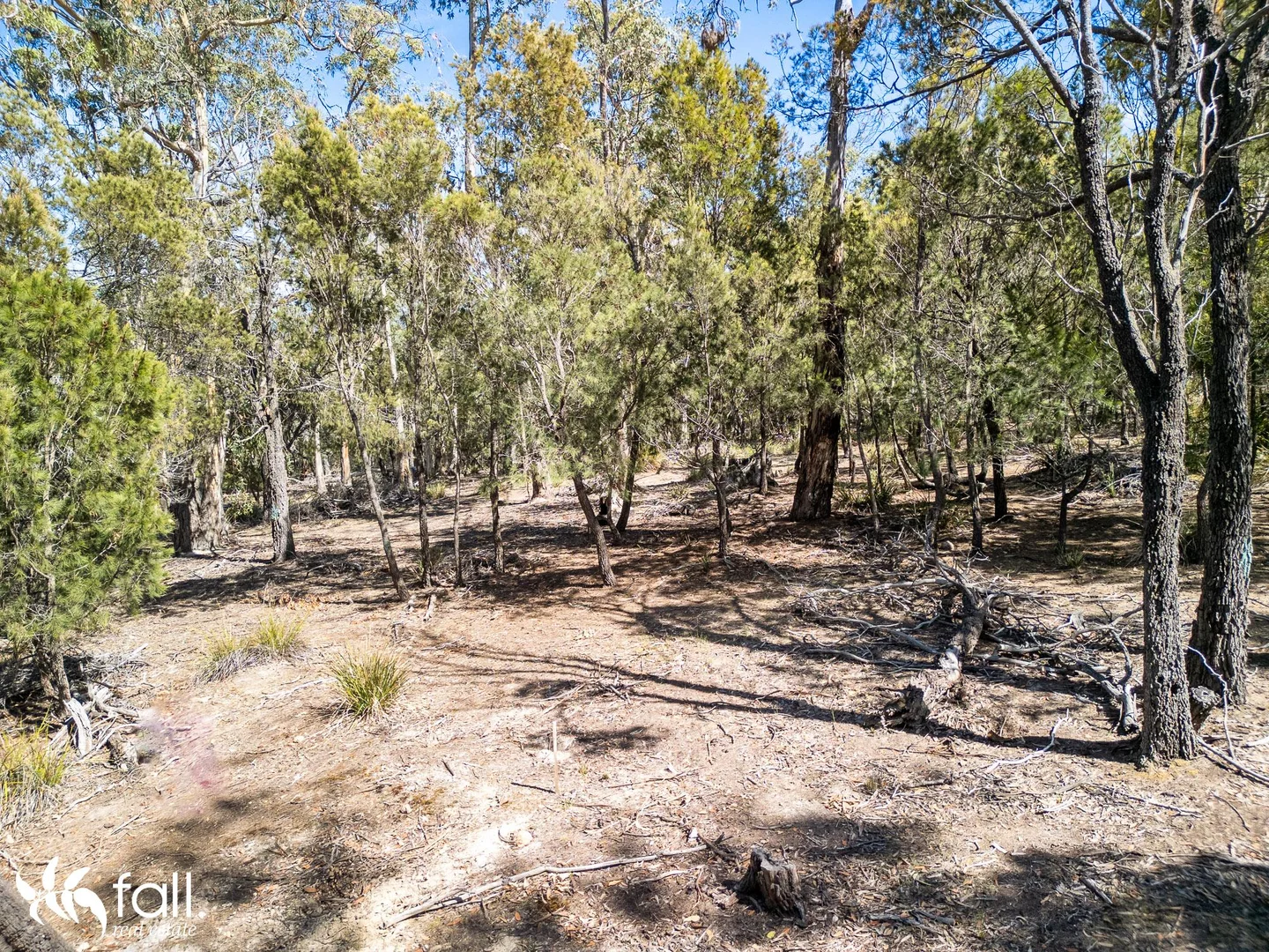 Additional image 4 of 954 Killora Road, North Bruny TAS 7150