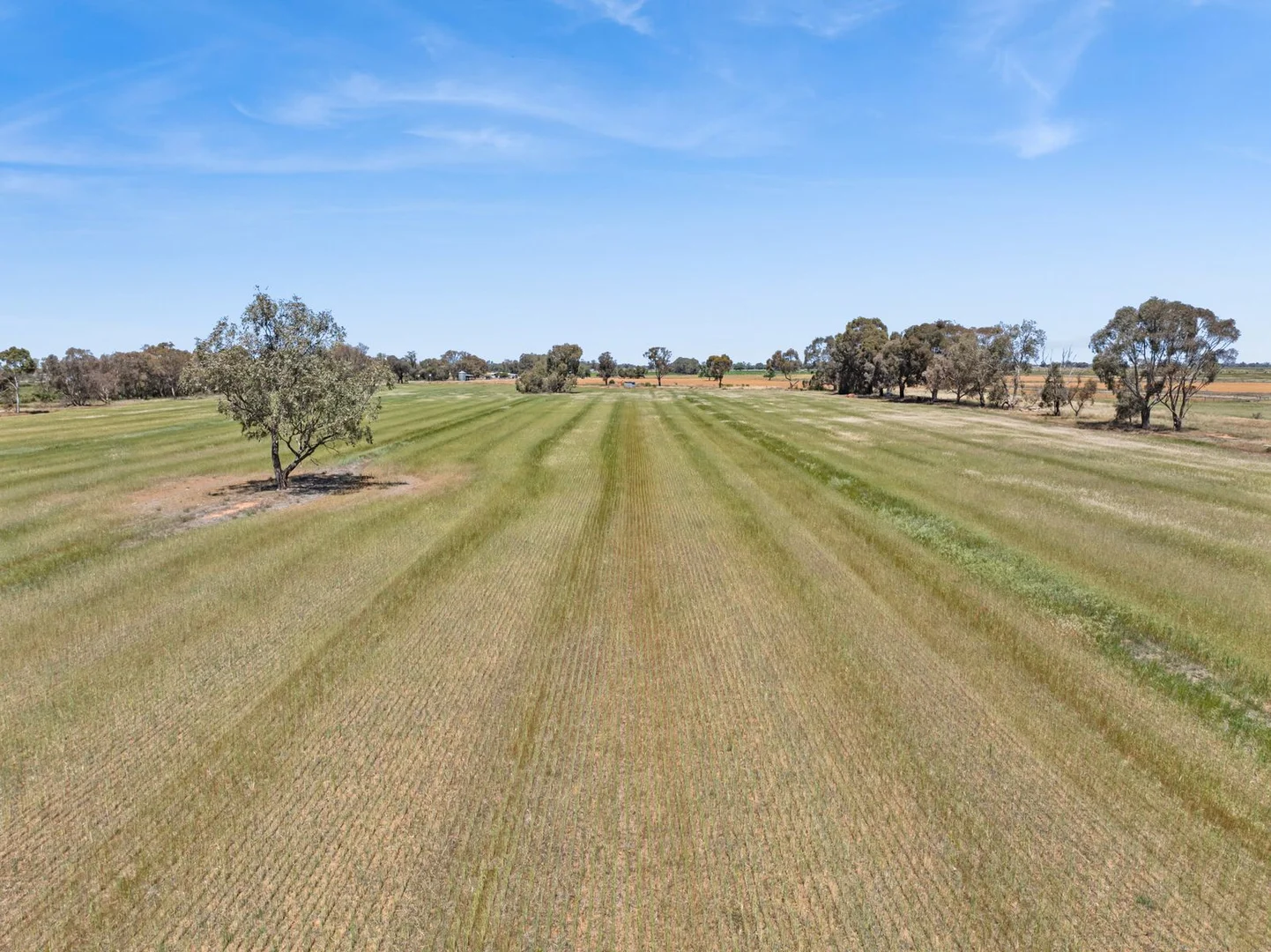 Additional image 4 of Pannoo Road & Johnson Road, Lockington VIC 3563