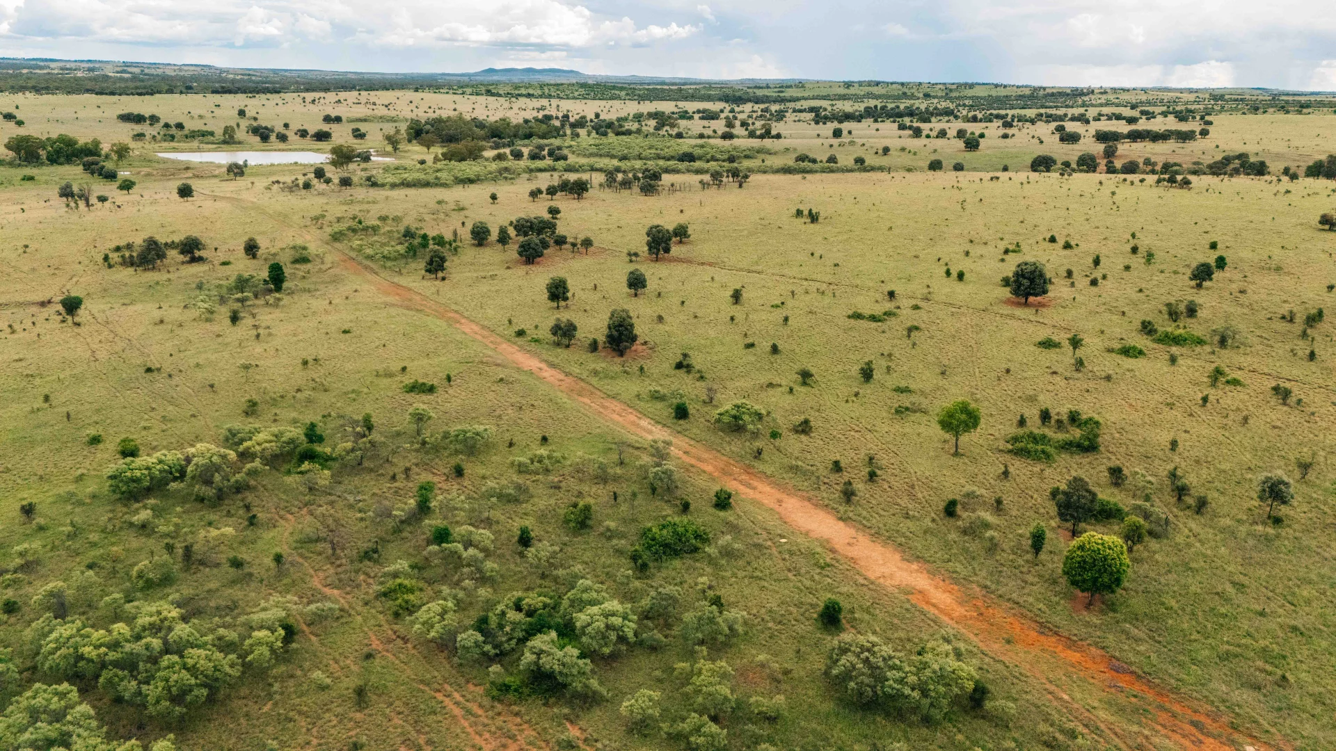 Additional image 8 of Waikola QLD 4420