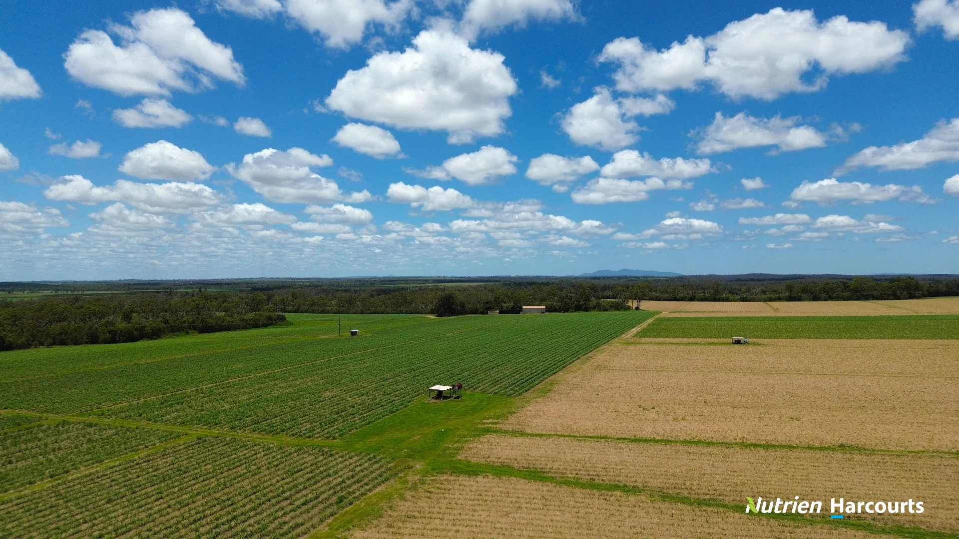 Additional image 14 of 3392 Childers Road, Gregory River QLD 4660