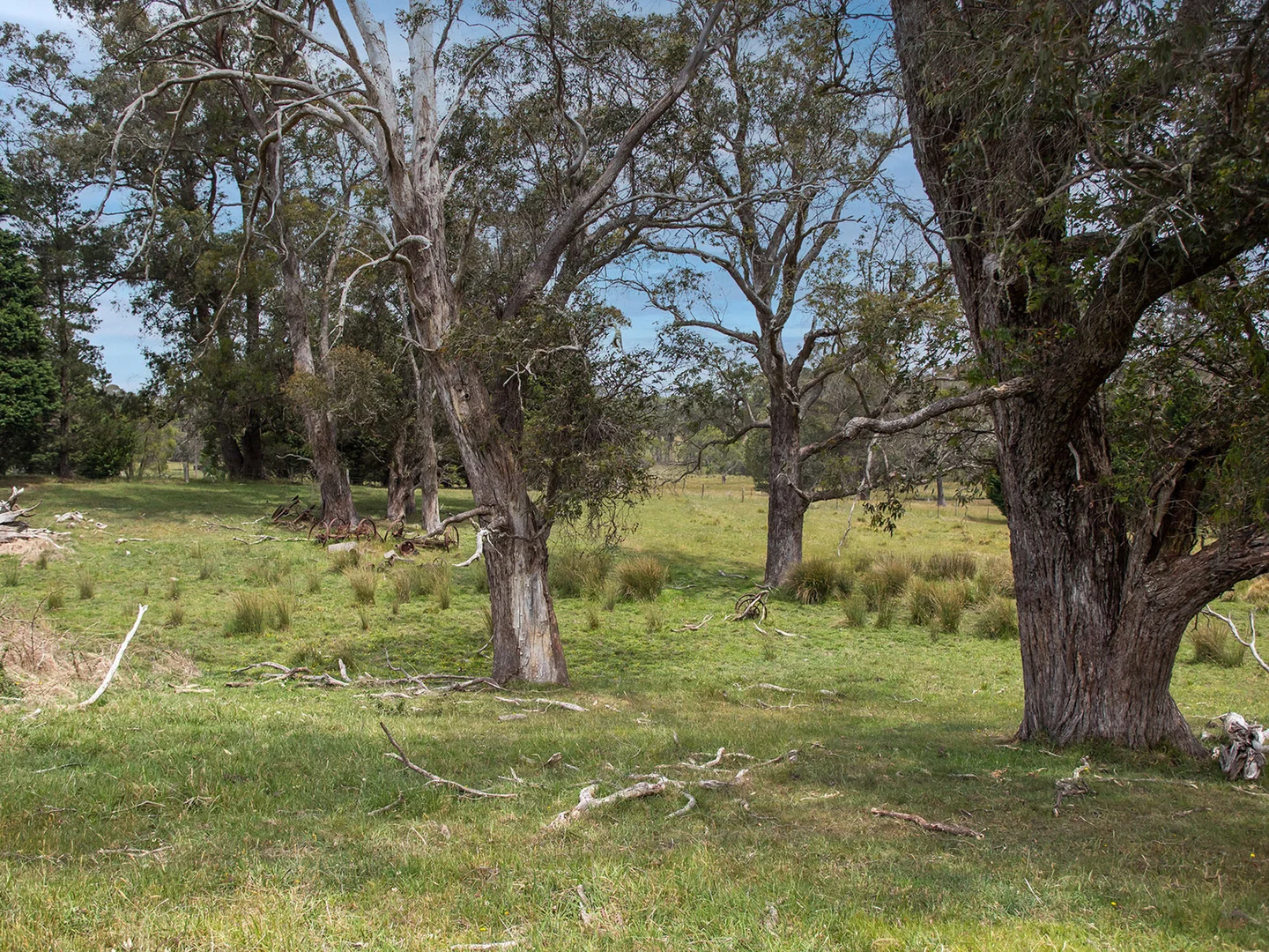 Additional image 17 of 746 Sheepwash Road, Avoca NSW 2577