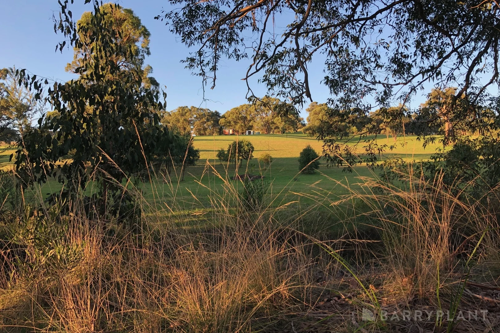 Additional image 25 of 450 Sheepstation Creek Road, Yellingbo VIC 3139