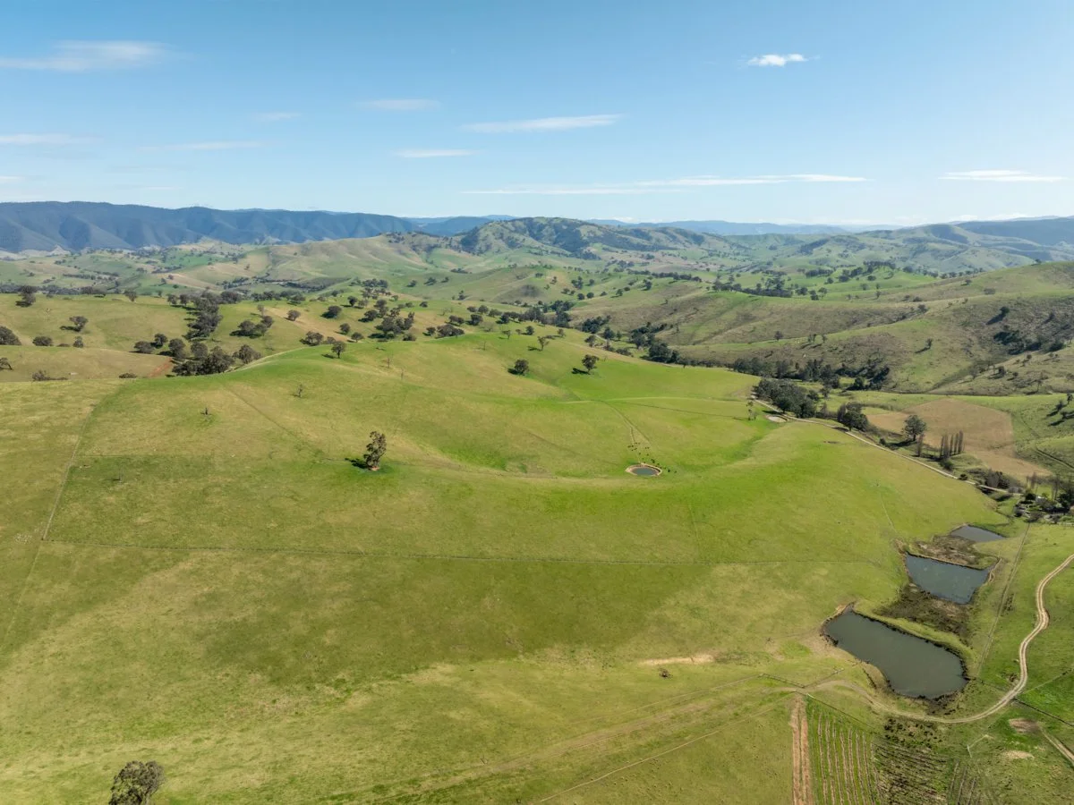 Additional image 46 of 198 Watts Creek Road, Ensay VIC 3895