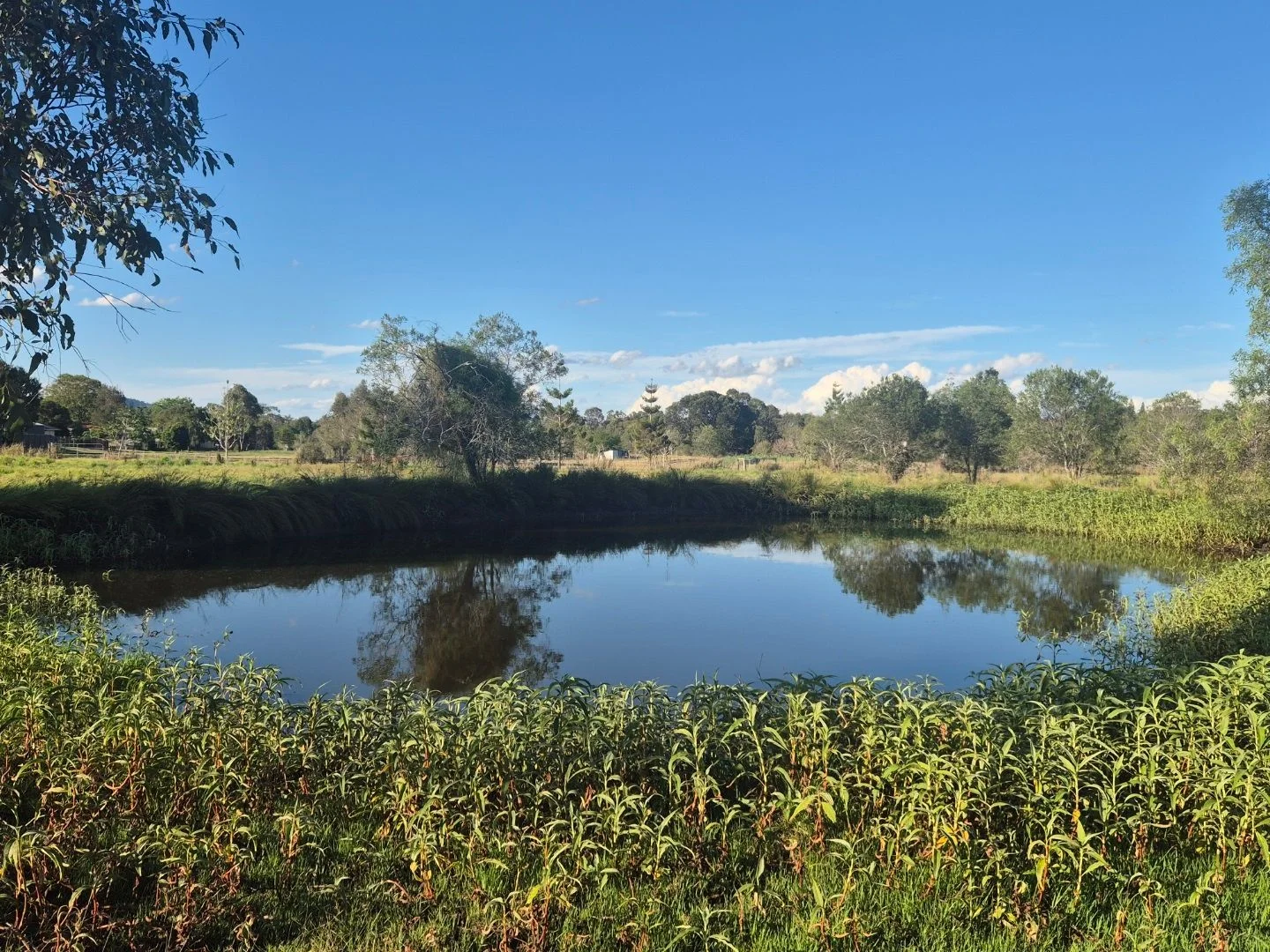 Additional image 4 of Marburg QLD 4346