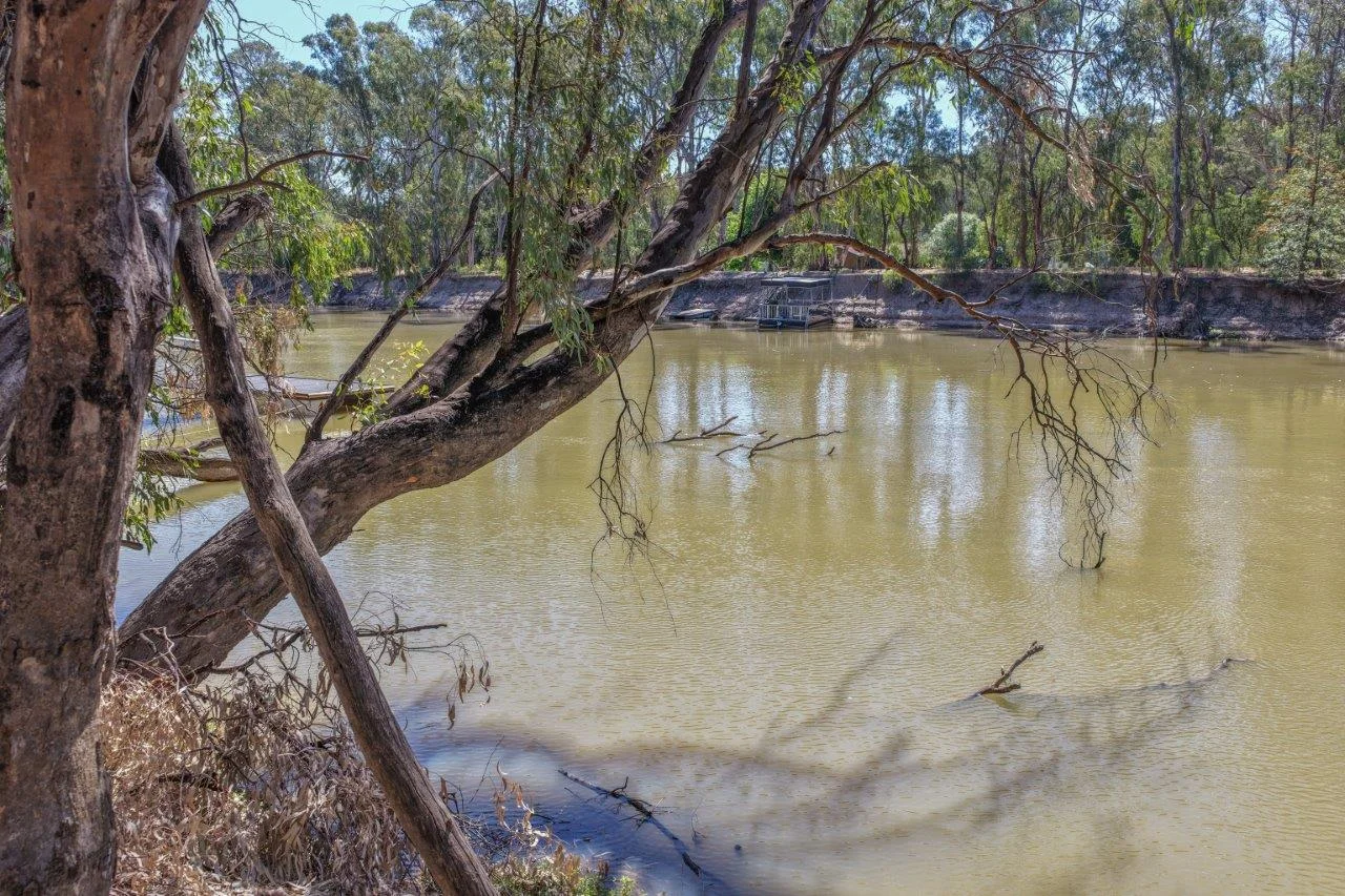 Additional image 4 of 19 Armstrong Drive, Barham NSW 2732