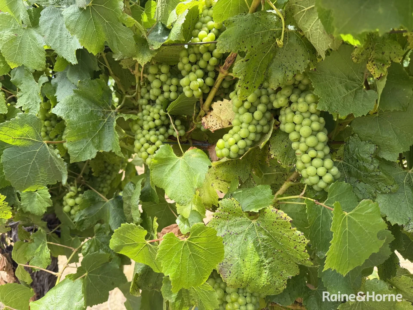 Additional image 42 of 45821 South Coast Highway, Kalgan WA 6330