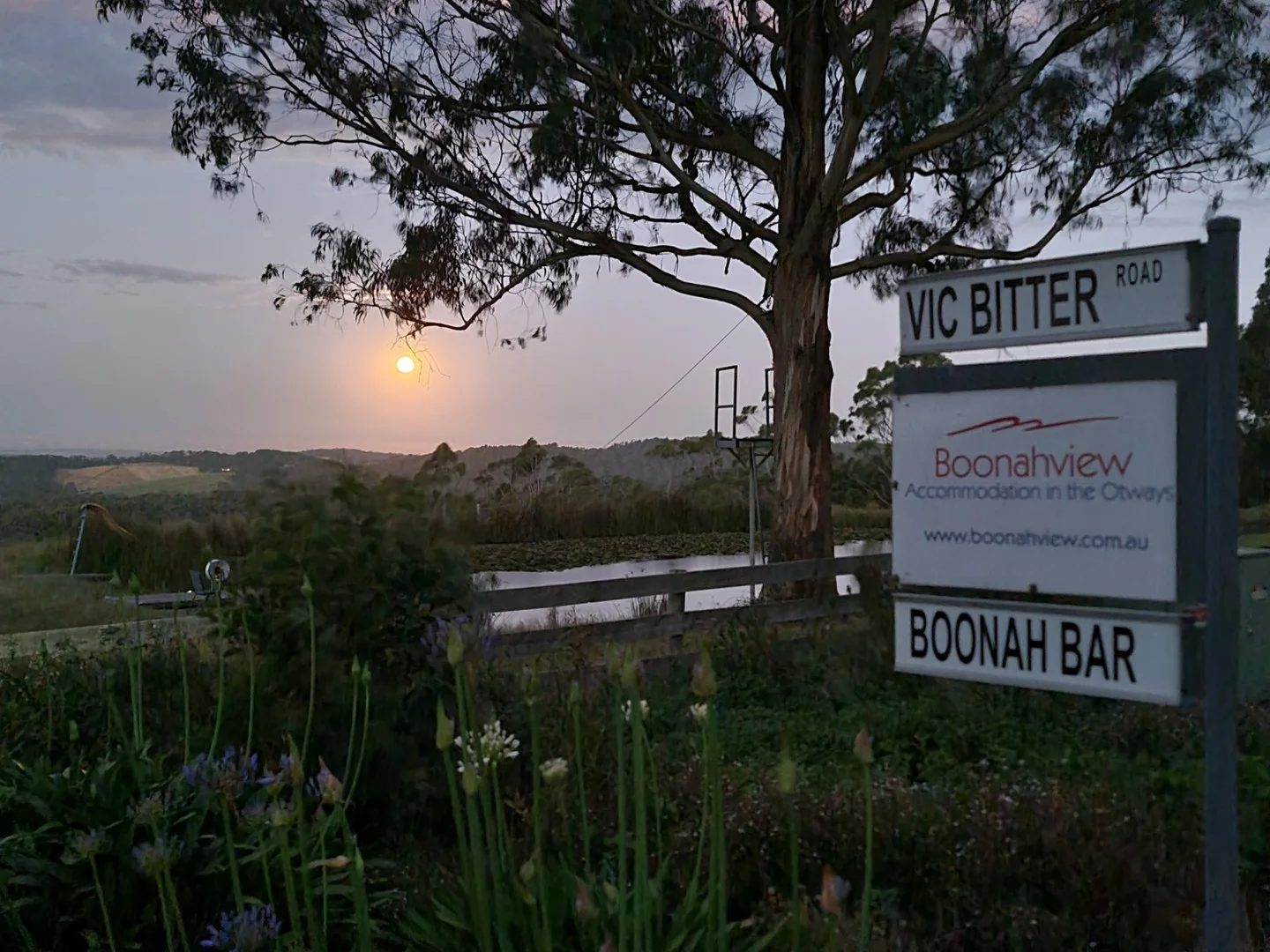 Additional image 33 of 535 Bambra Cemetery Road, Deans Marsh VIC 3235